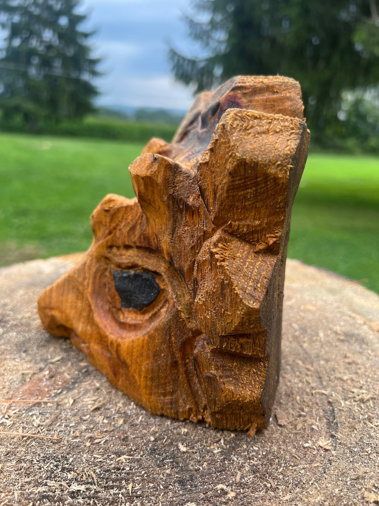 Hand-Carved 10min Triceratops