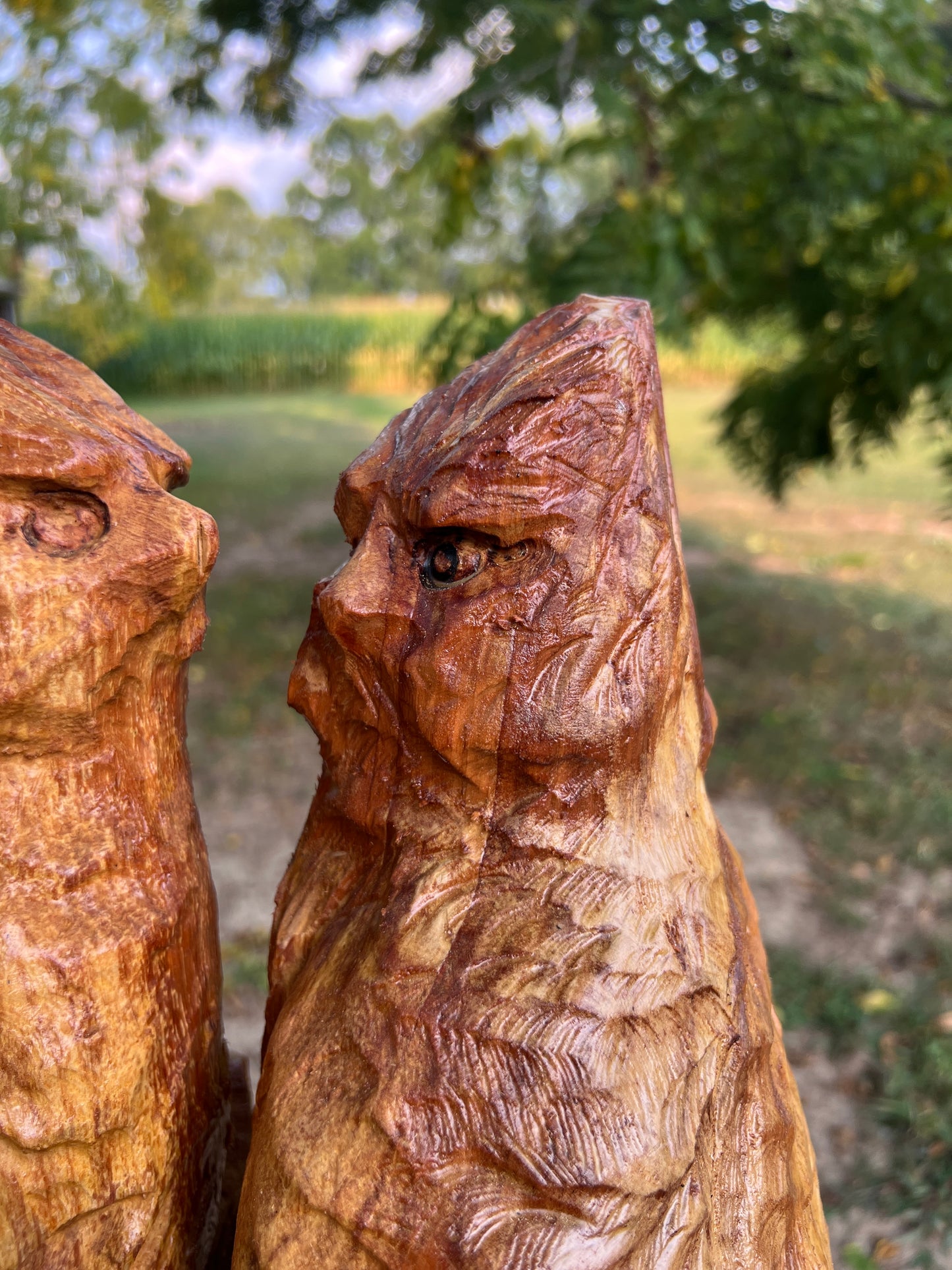 2 Cardinals in Crab Apple