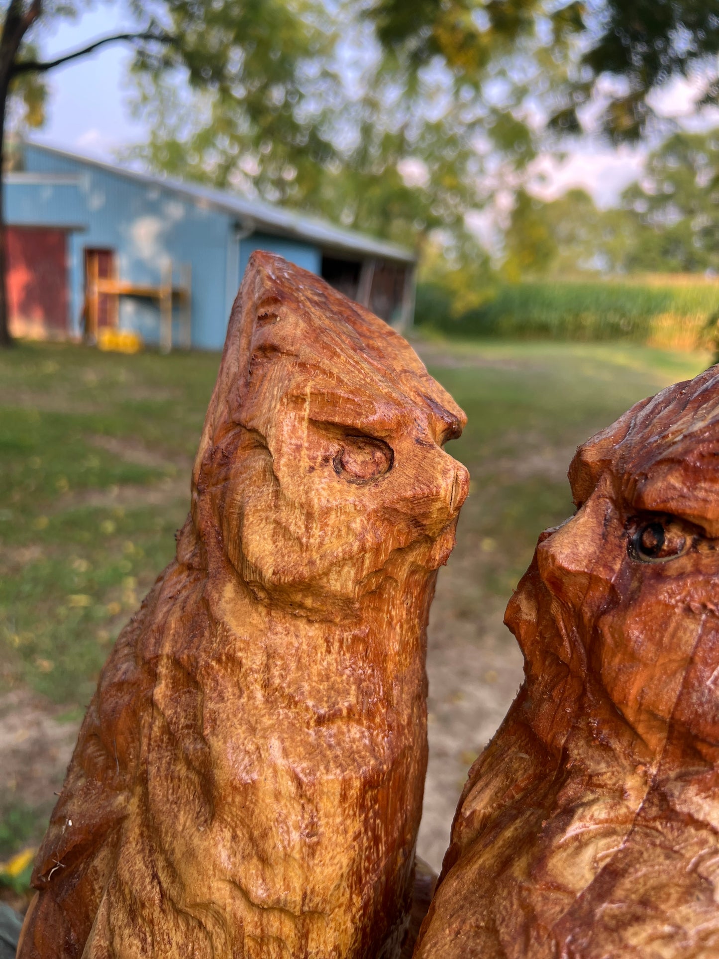 2 Cardinals in Crab Apple