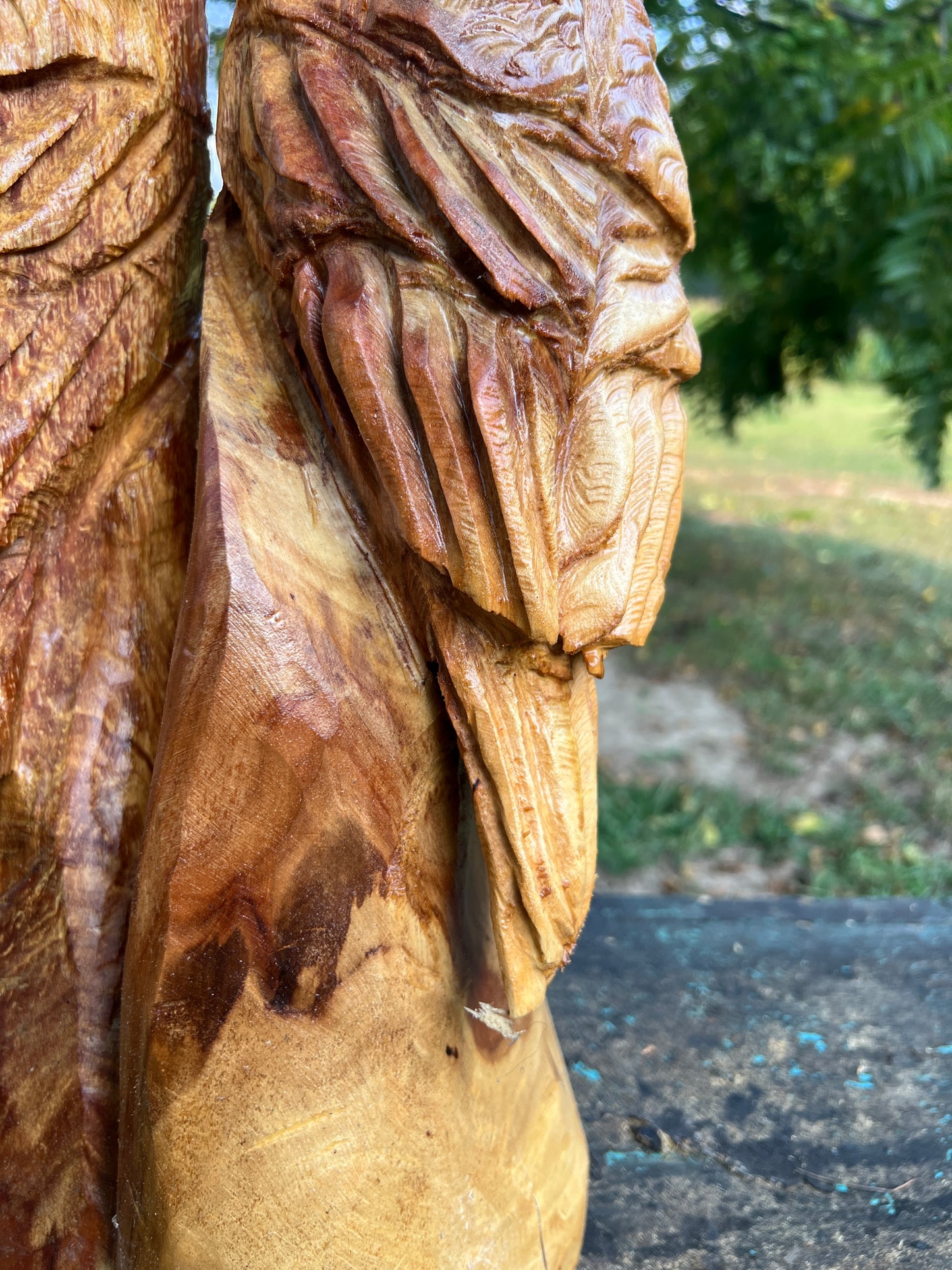 2 Cardinals in Crab Apple