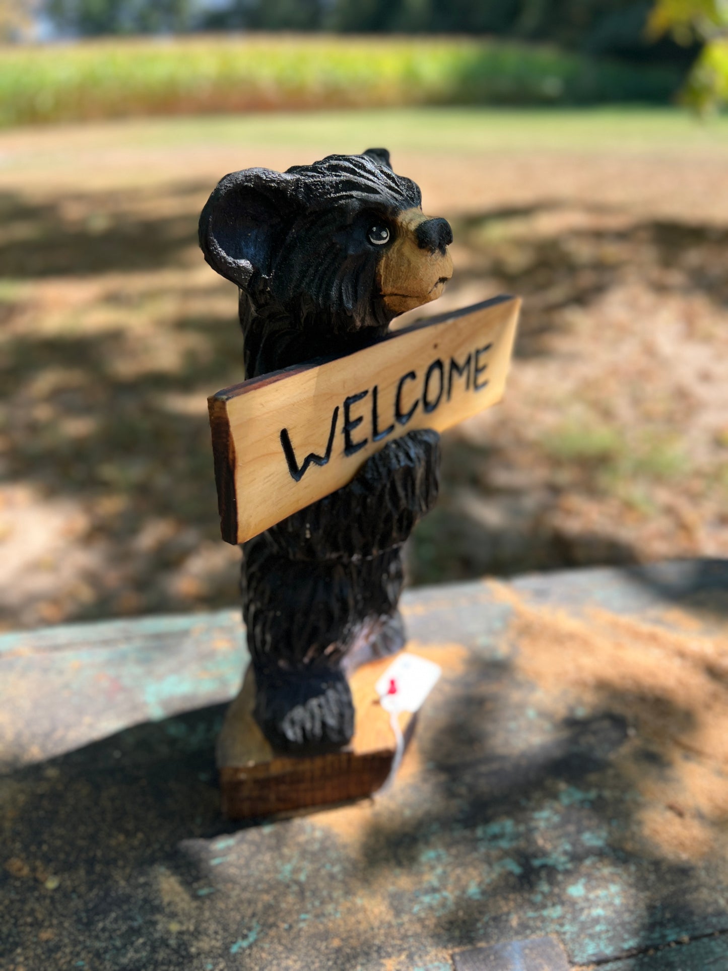 ChainsawJenna Standing Bear Welcome Bear 12