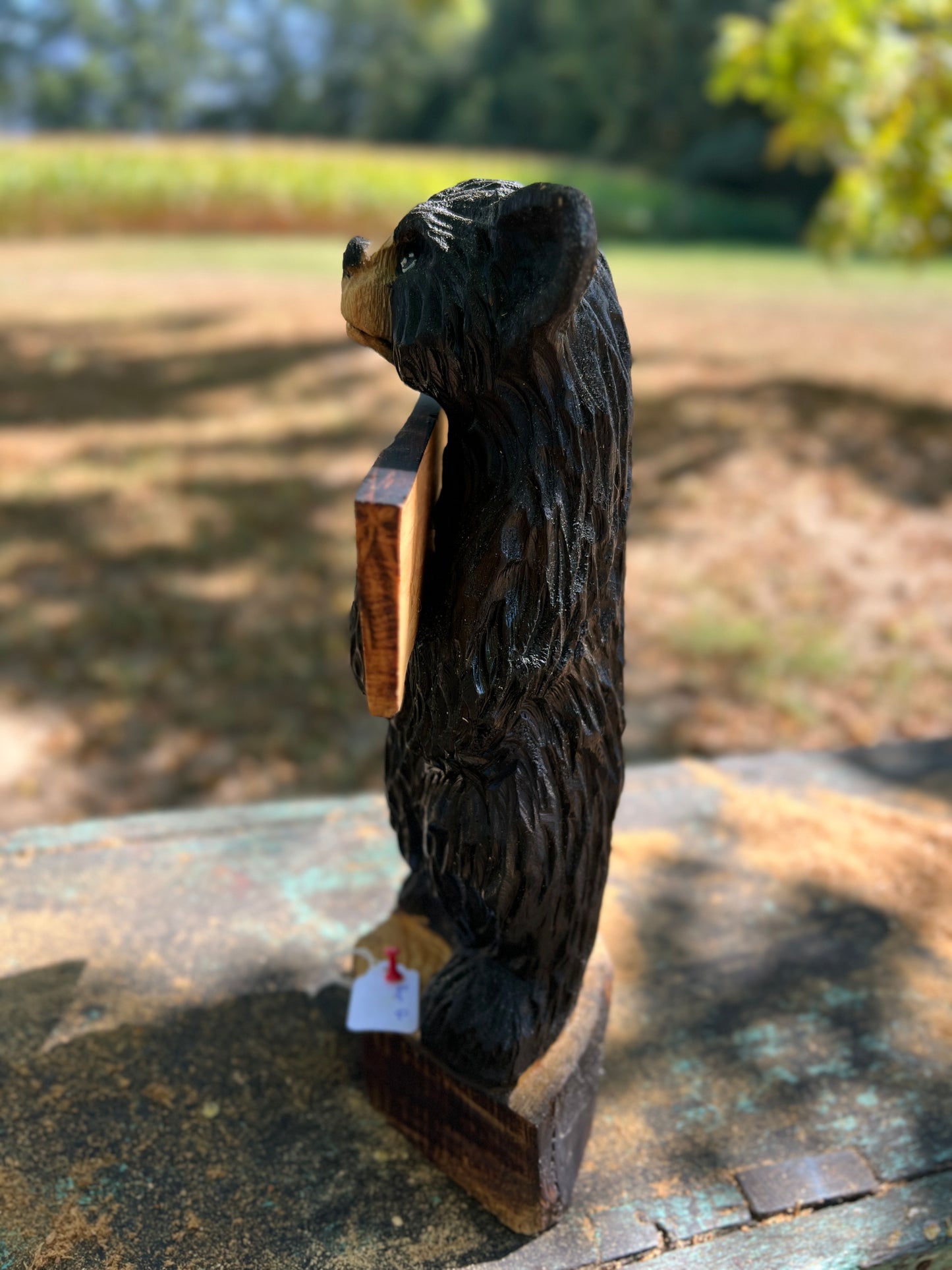 ChainsawJenna Standing Bear Welcome Bear 12