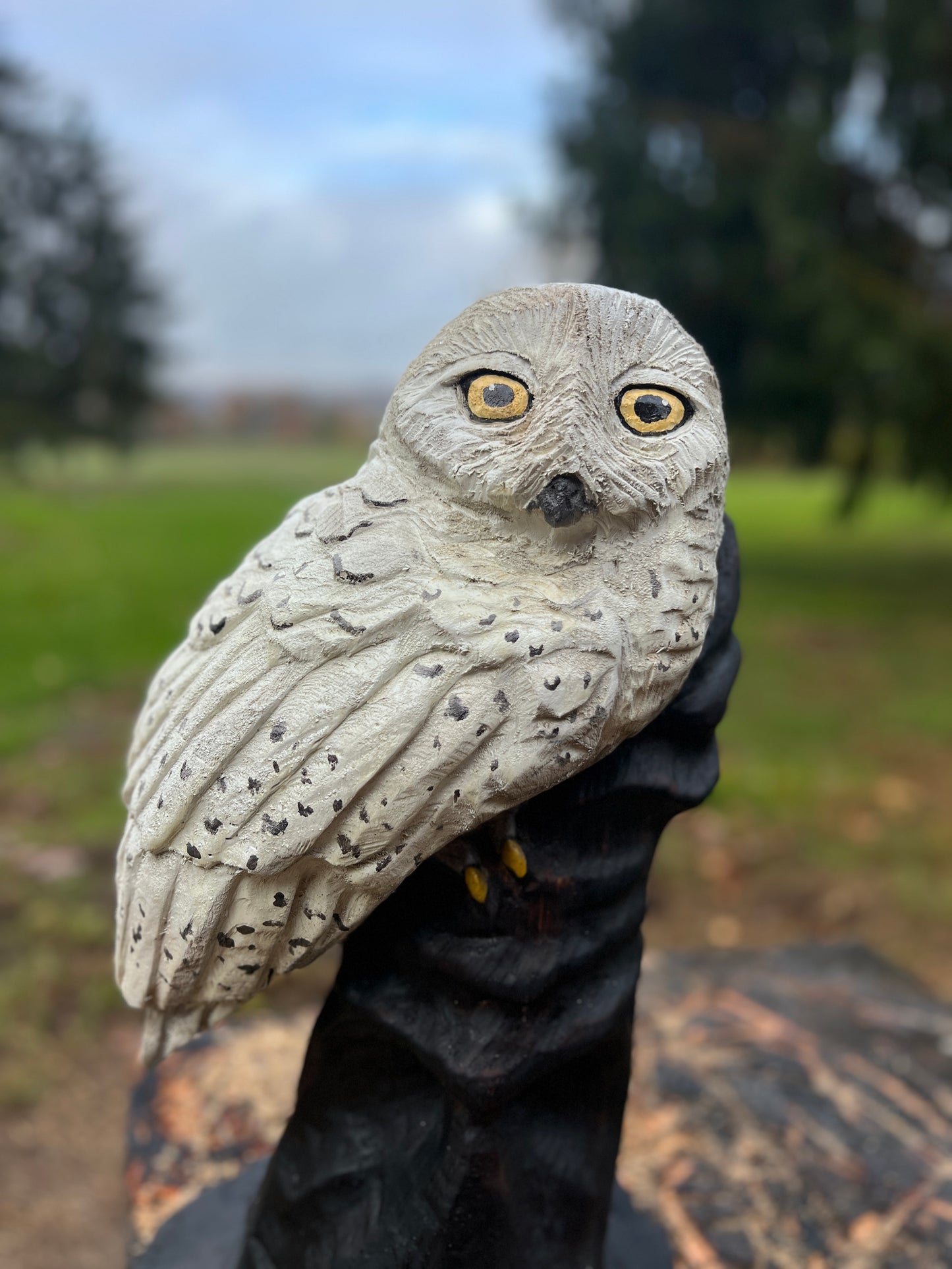 ChainsawJenna Owl on Hat