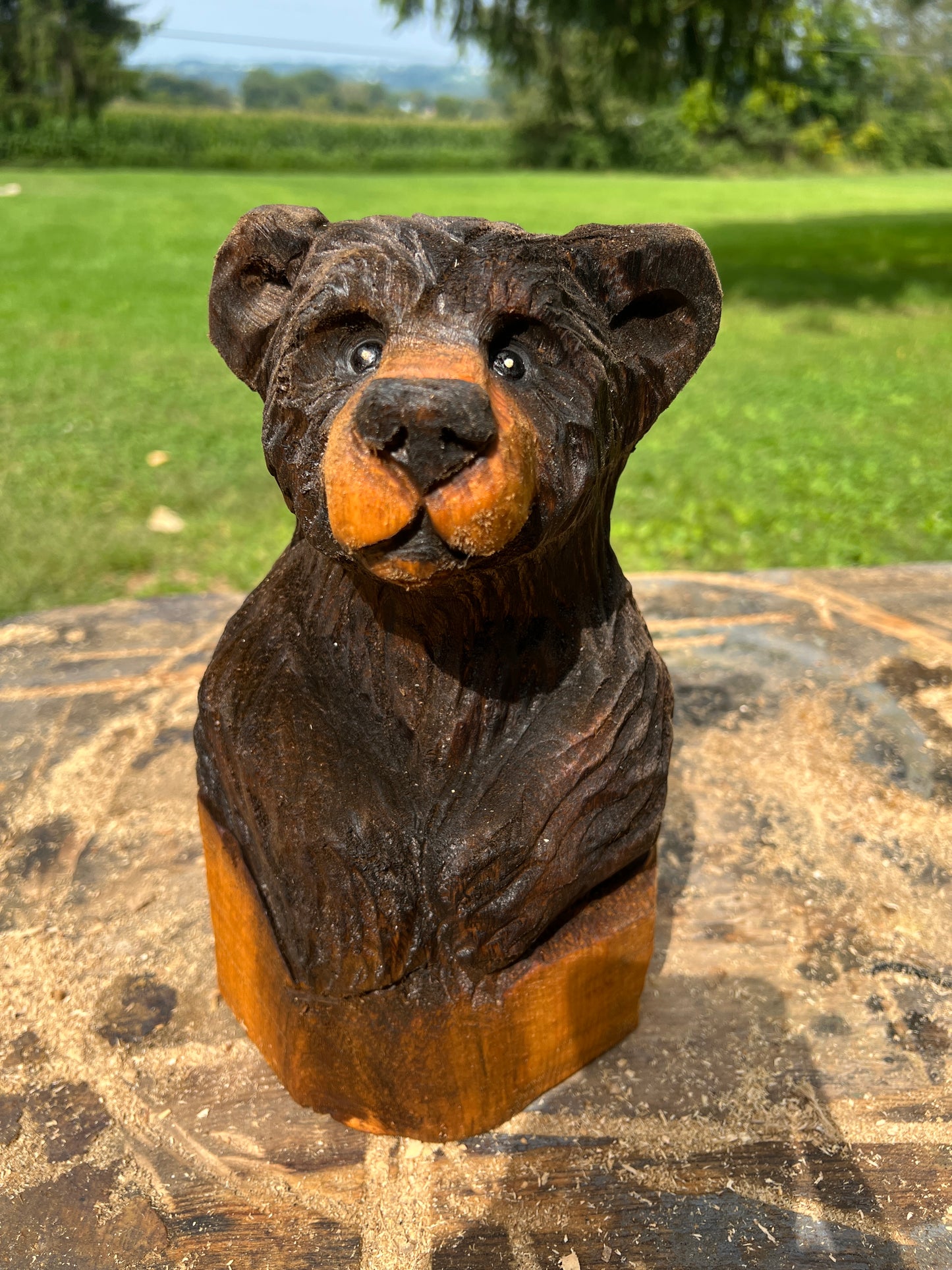 Cub Bear in Log 2