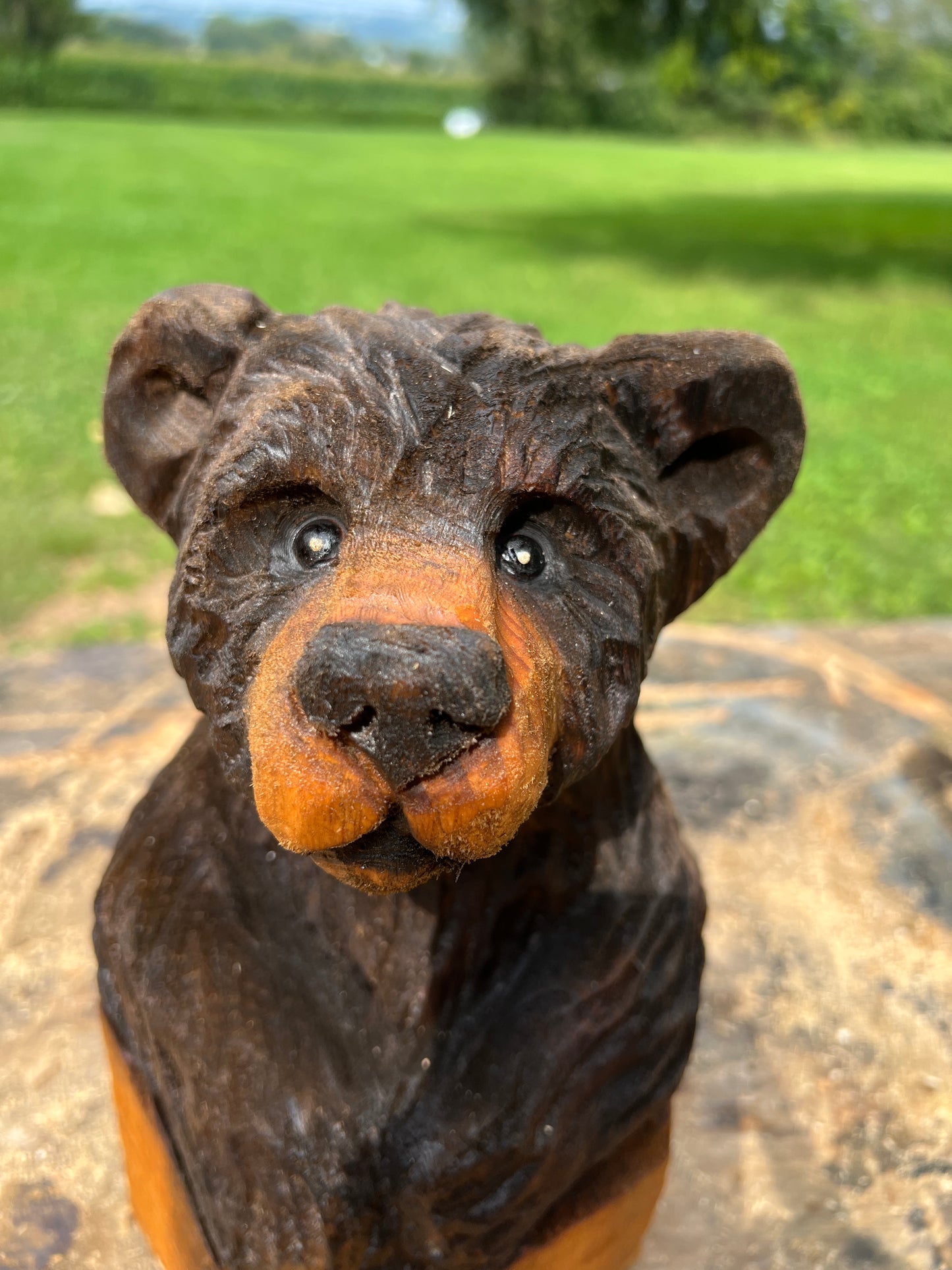 Cub Bear in Log 2