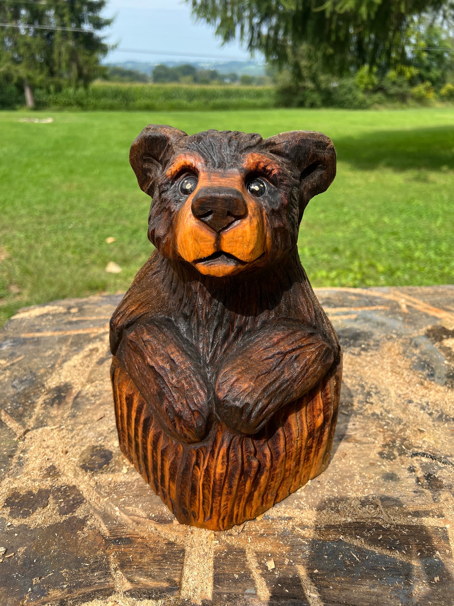 Cub Bear in Log 3