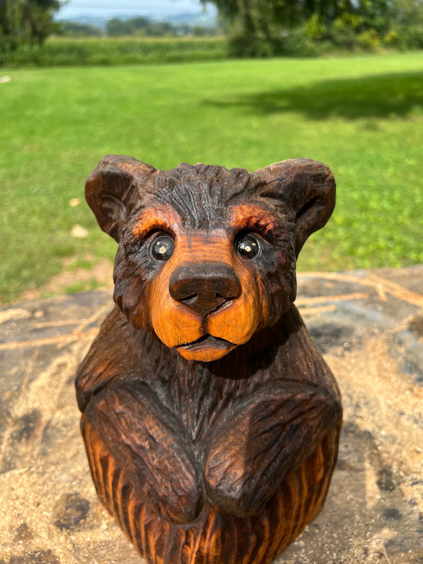 Cub Bear in Log 3