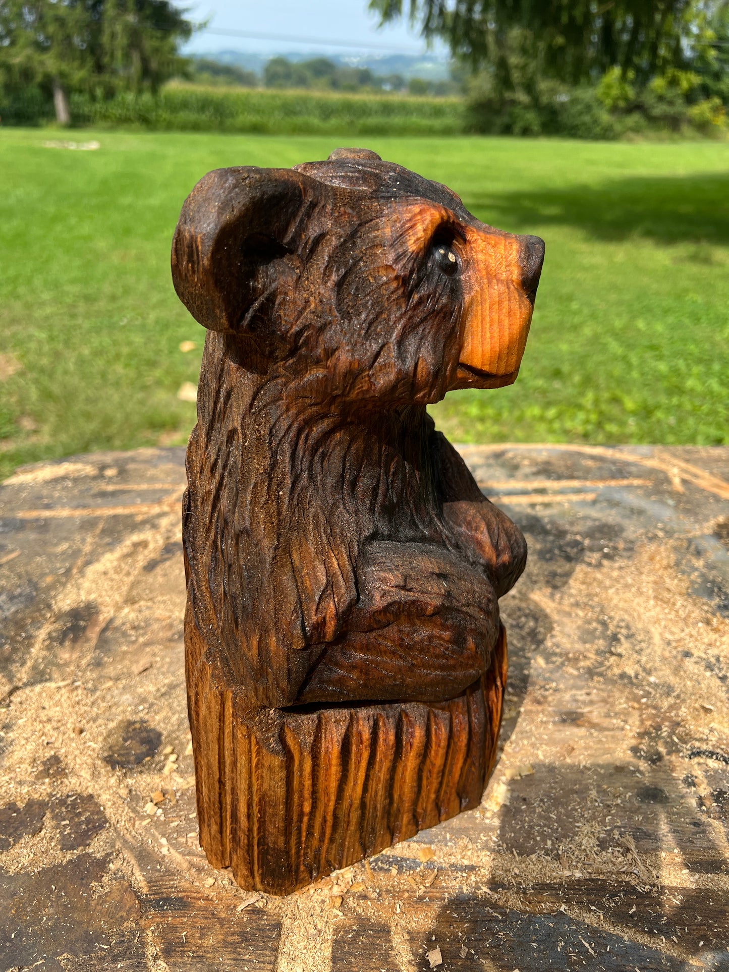 Cub Bear in Log 3