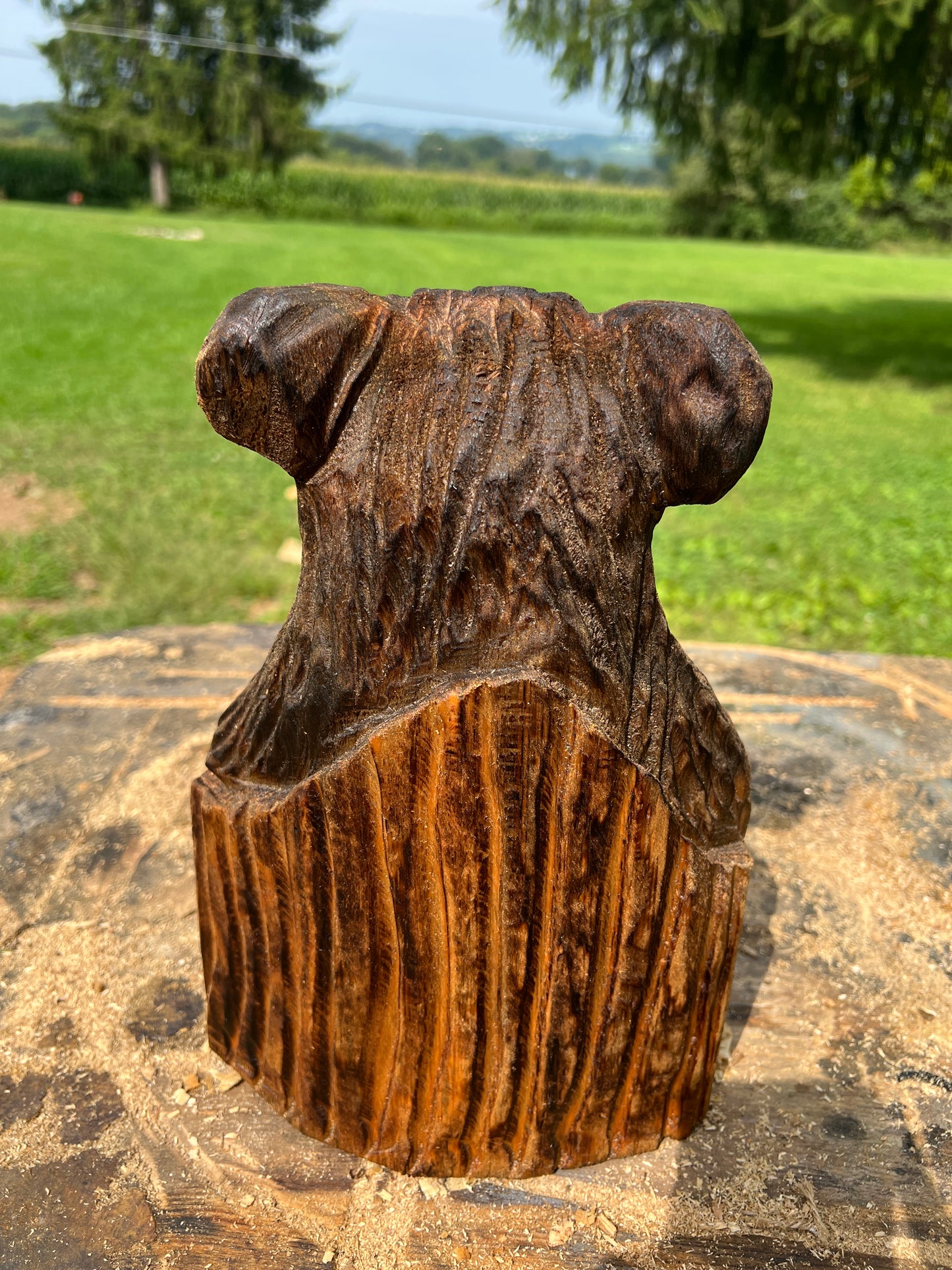 Cub Bear in Log 3