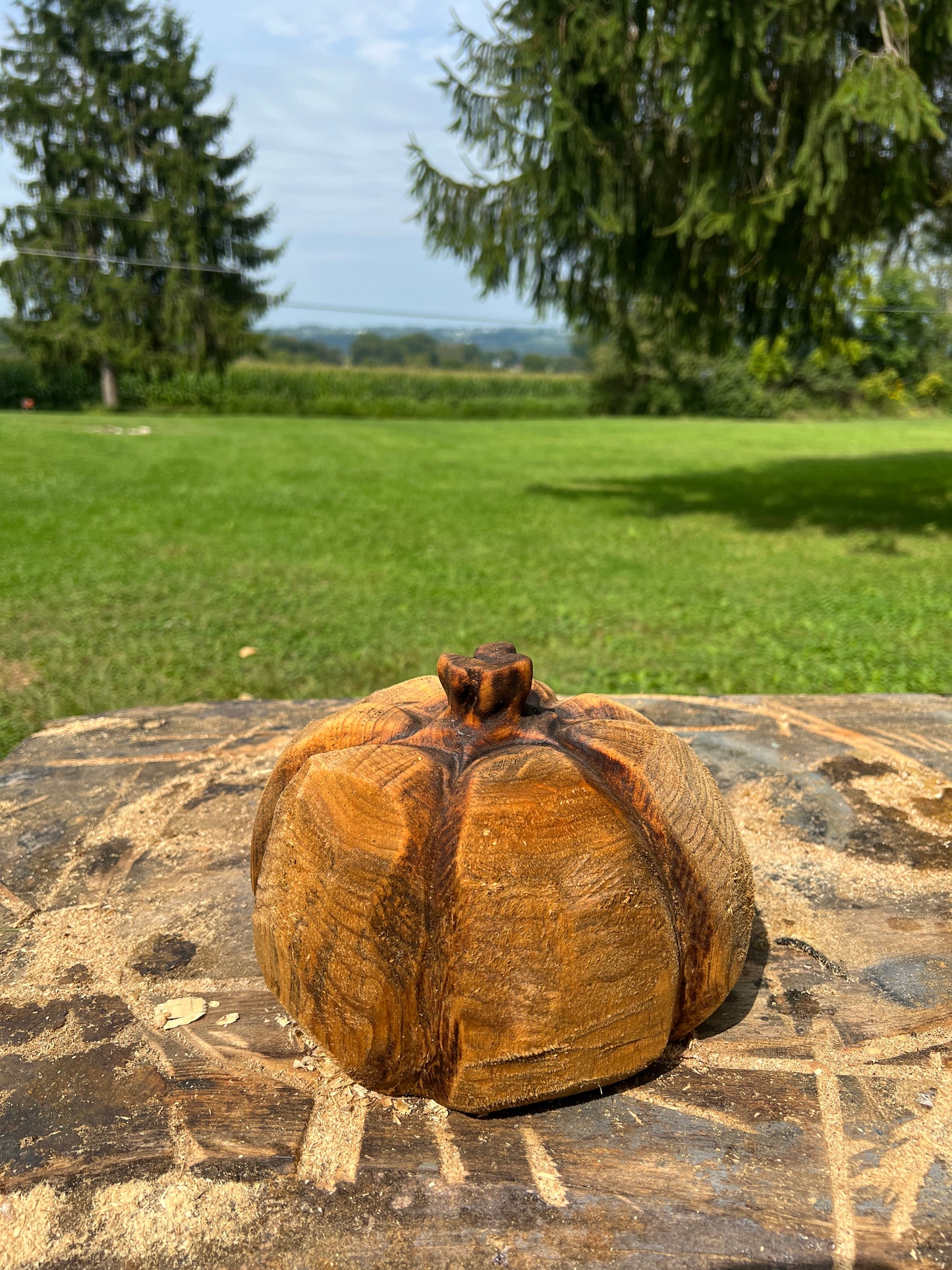Pumpkin