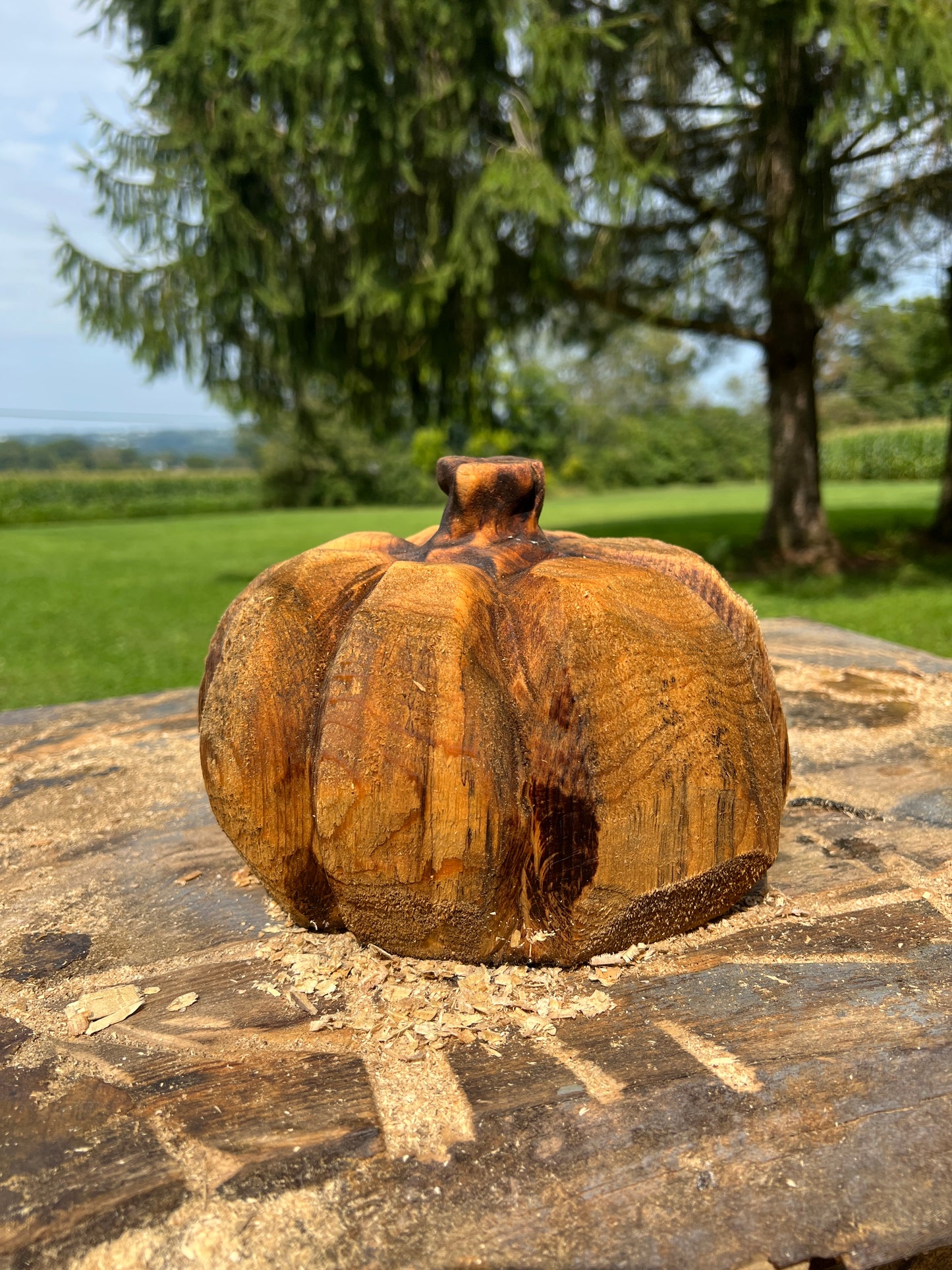 Pumpkin