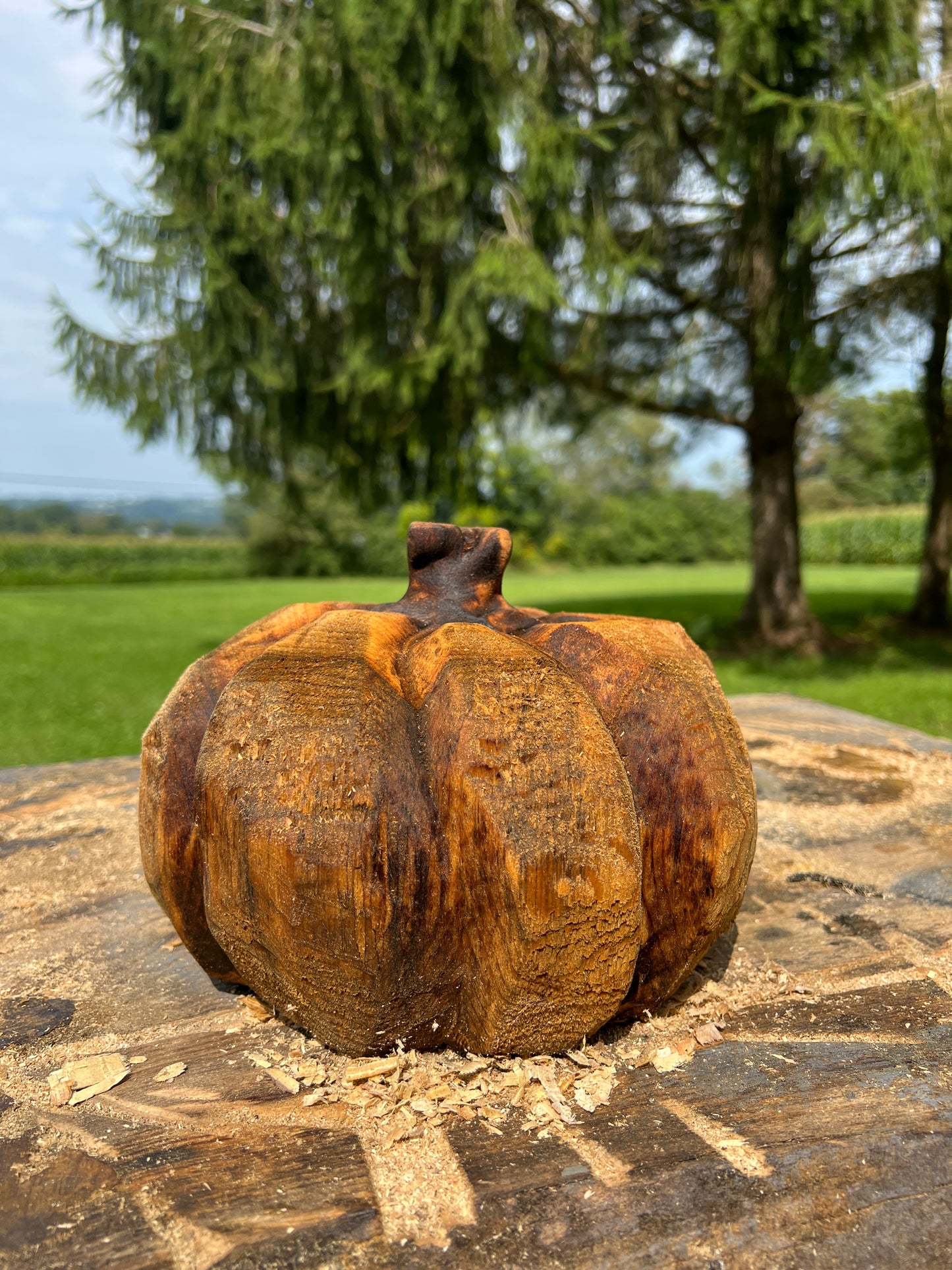 Pumpkin