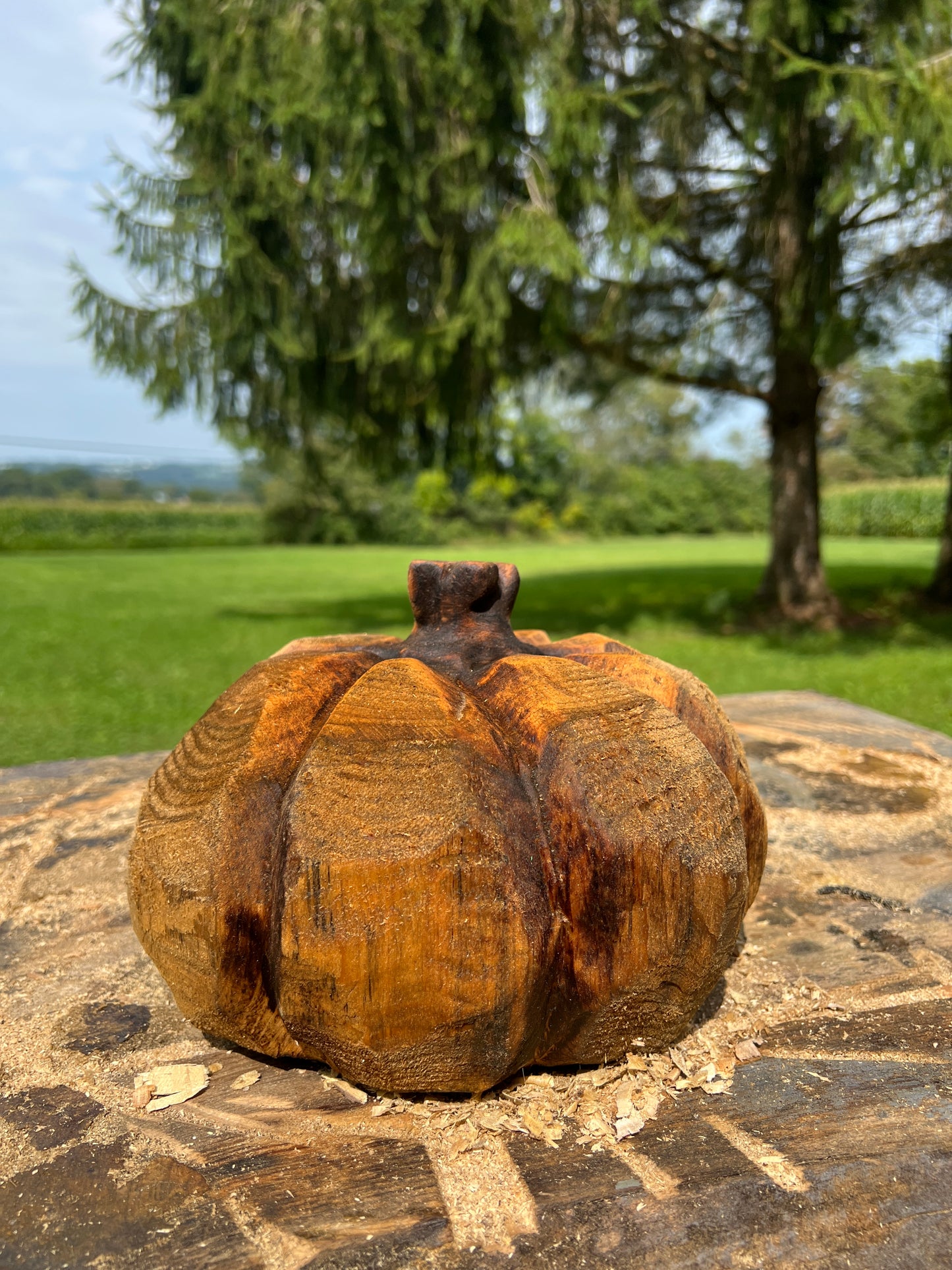 Pumpkin