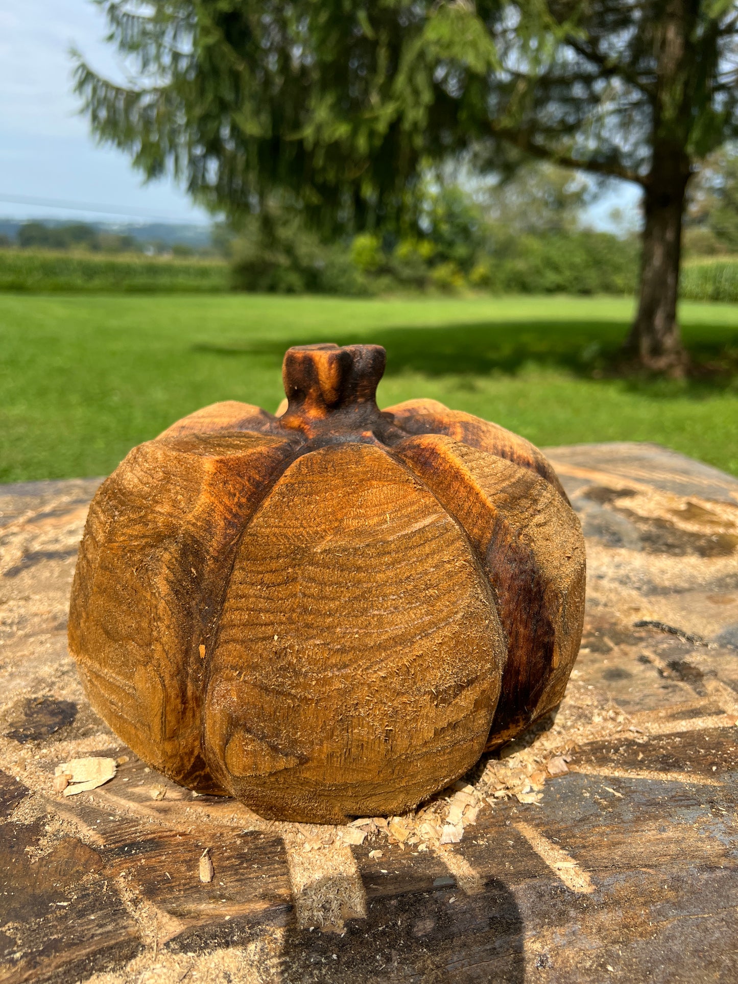 Pumpkin
