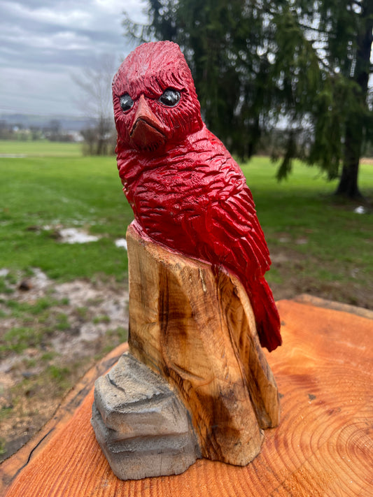 Cardinal