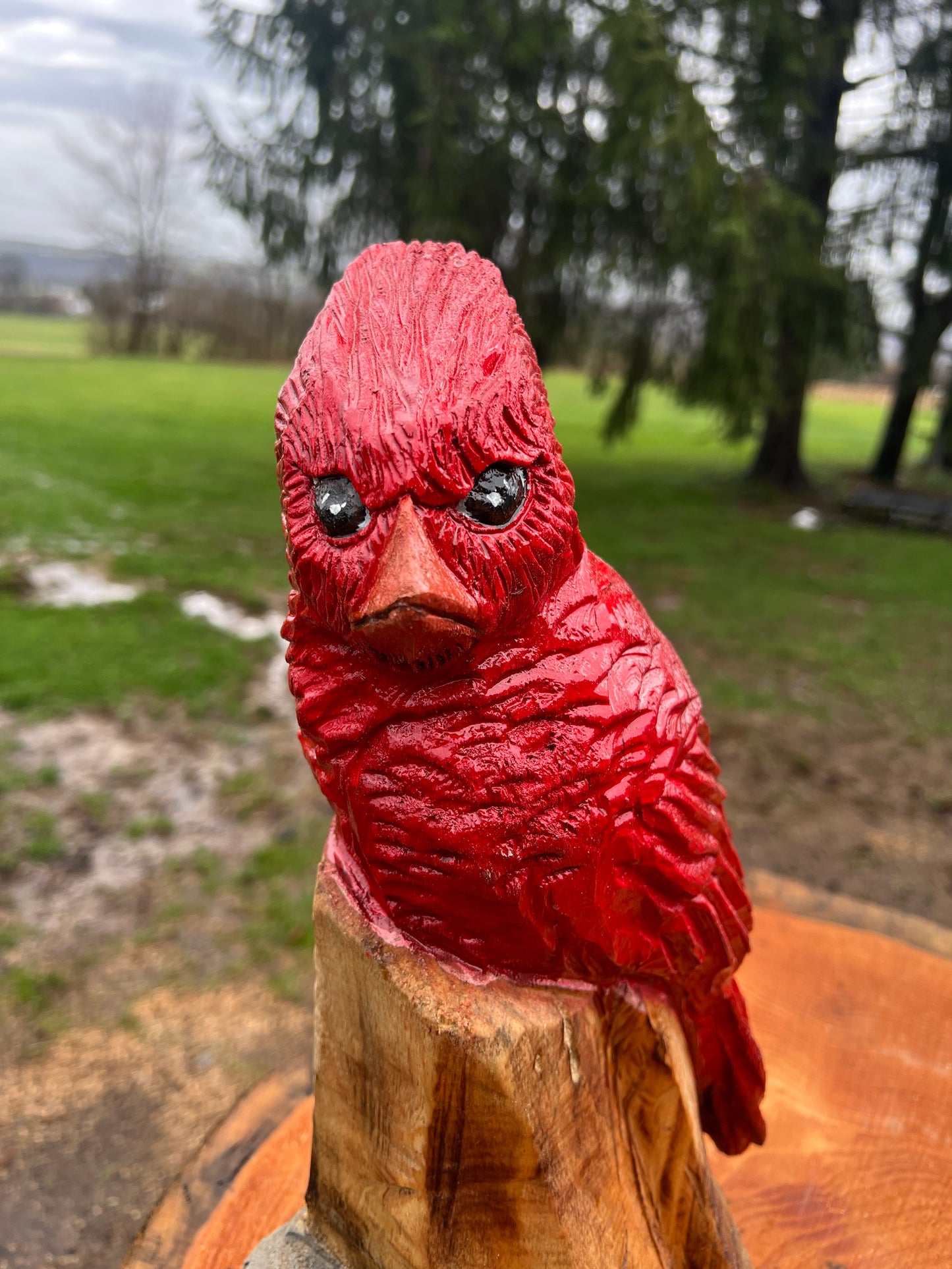 Cardinal