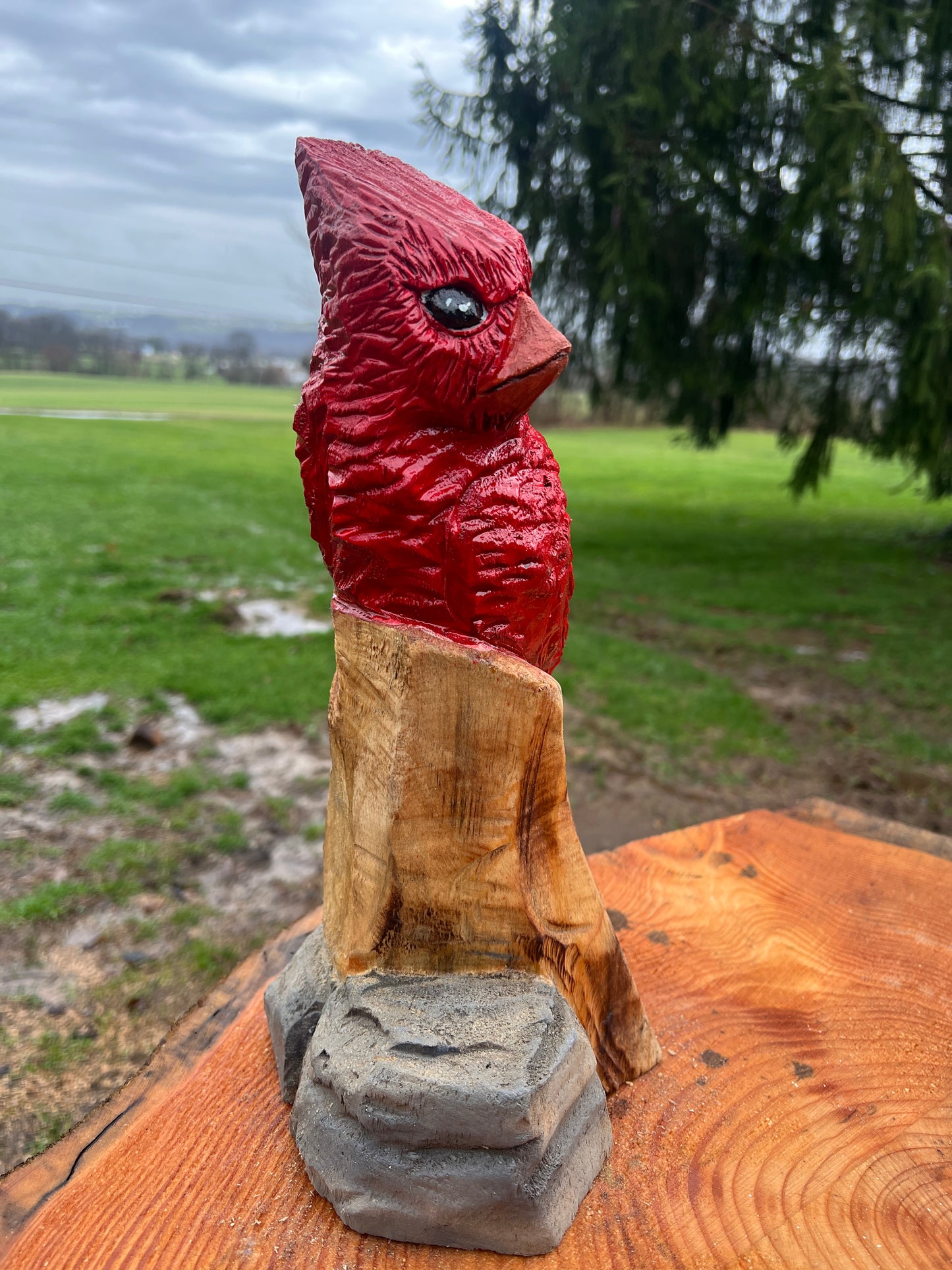 Cardinal