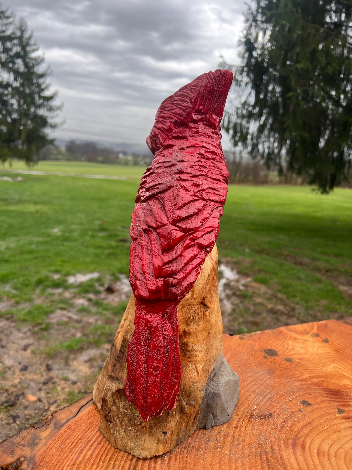 Cardinal