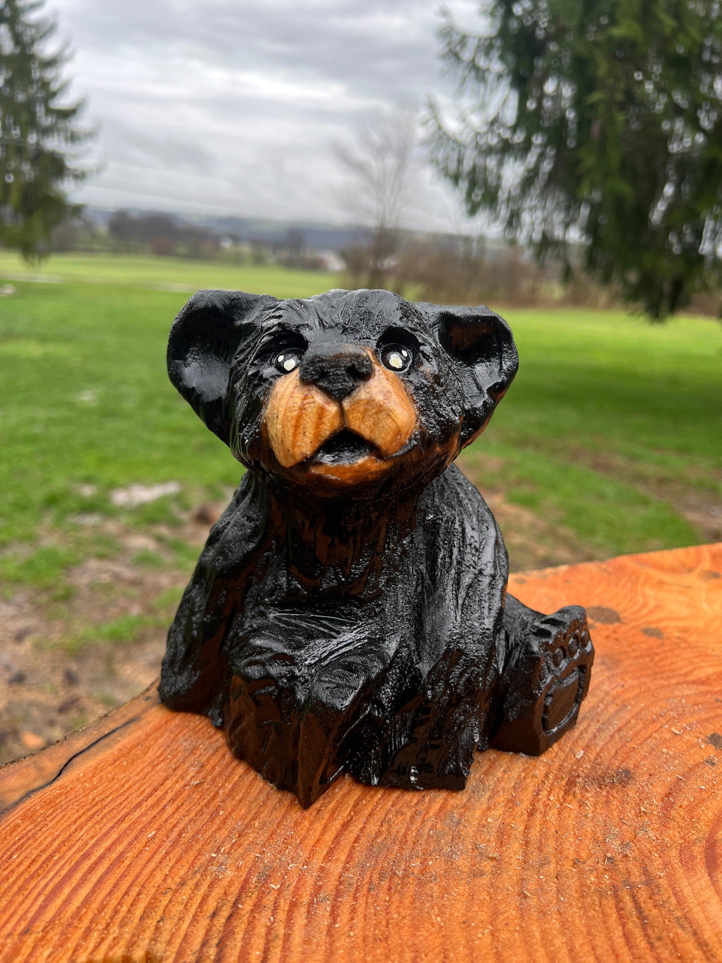 Hand-Carved Little Bear sitting Sculpture