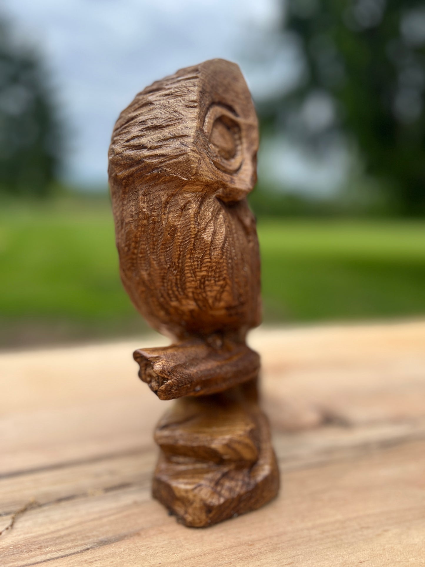 Chainsawjenna owl - made out of catalpa