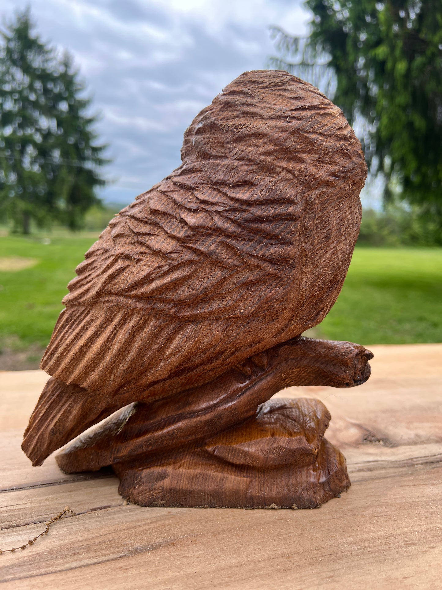 Chainsawjenna owl - made out of catalpa