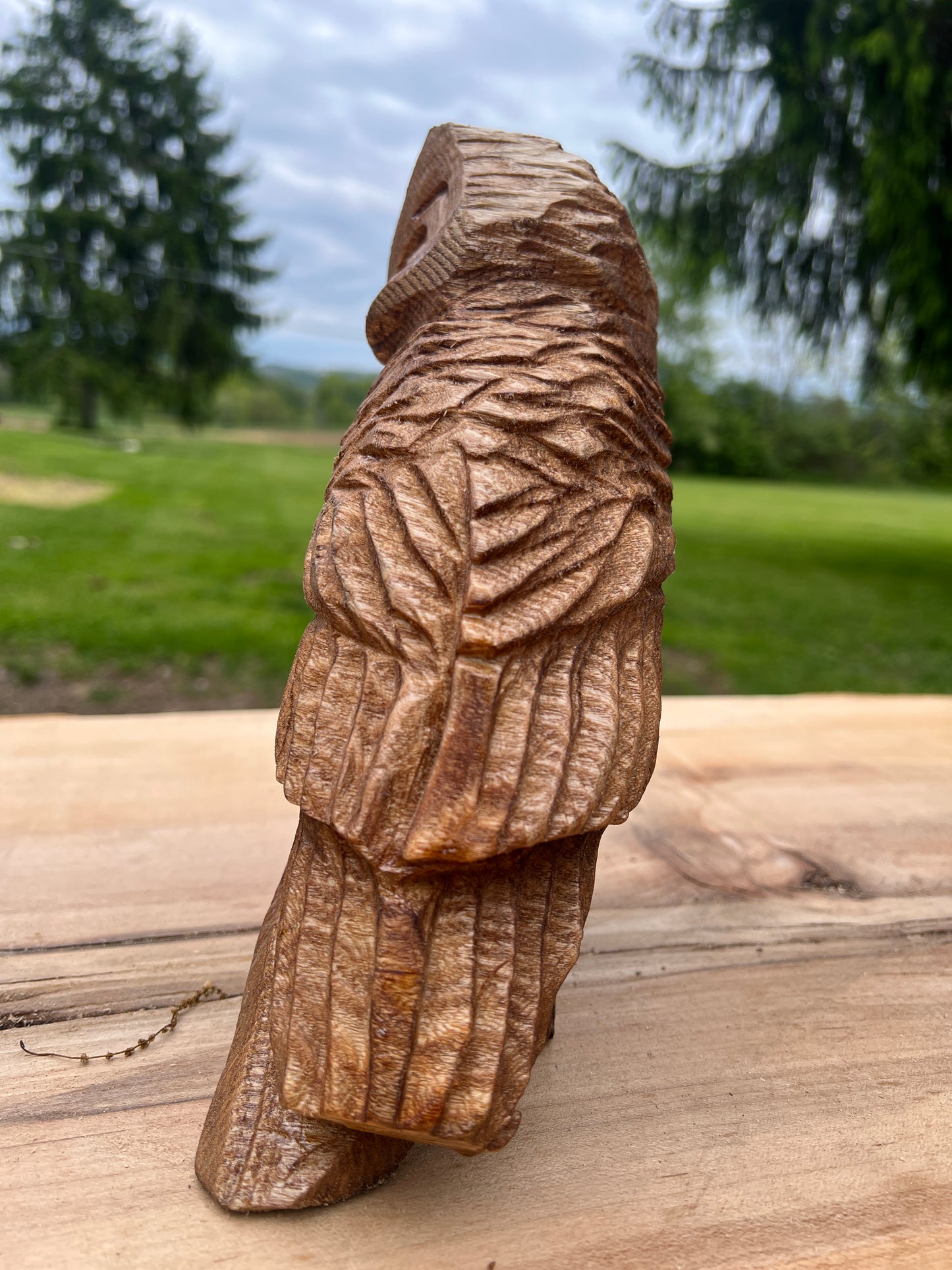 Chainsawjenna owl - made out of catalpa