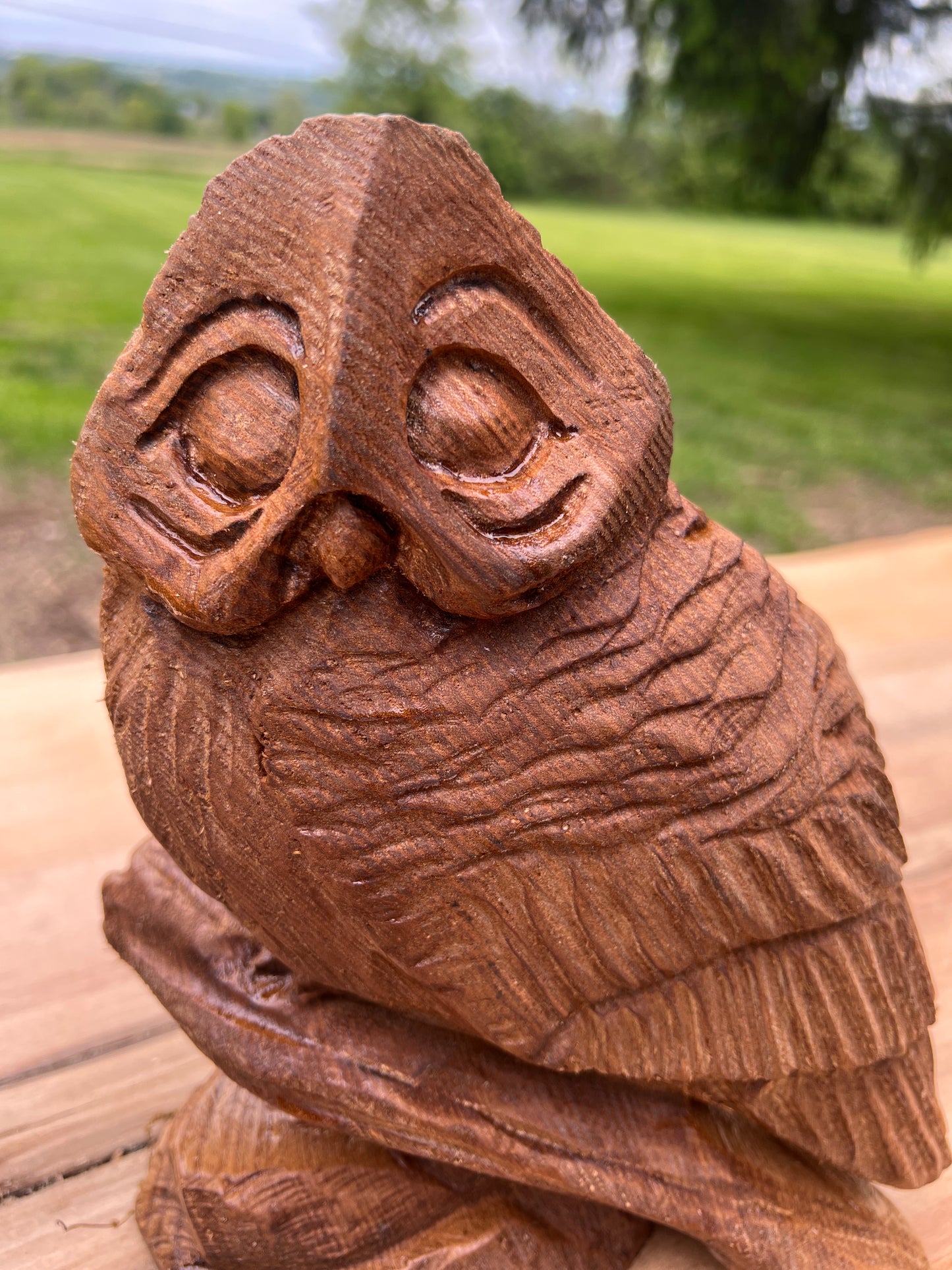 Chainsawjenna owl - made out of catalpa