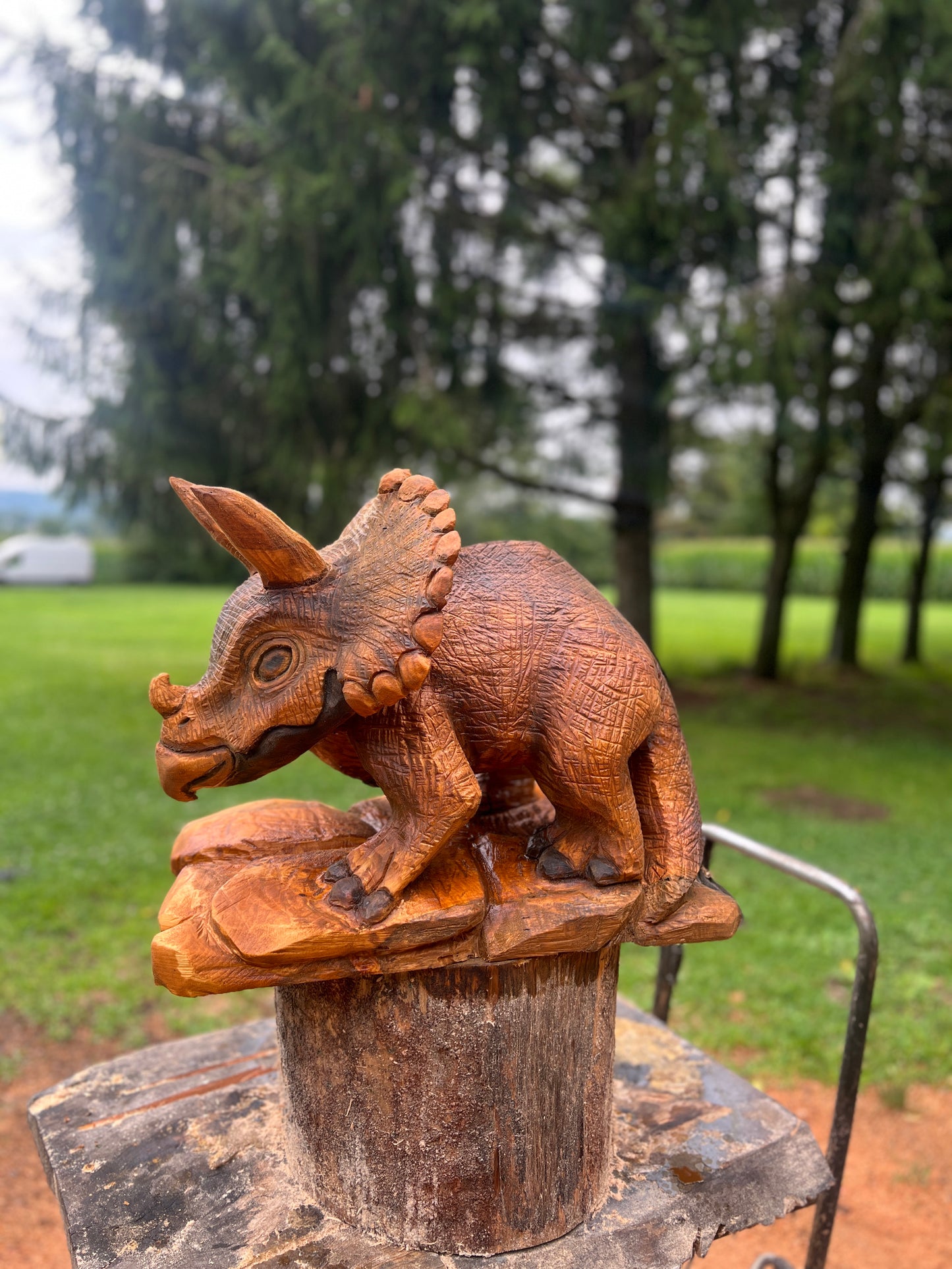 Hand-Carved Full Body Triceratops