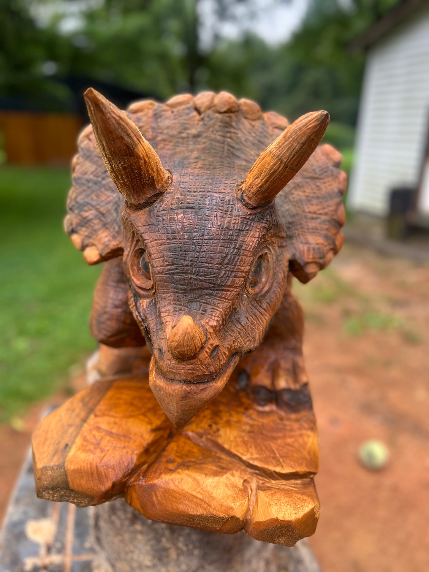 Hand-Carved Full Body Triceratops