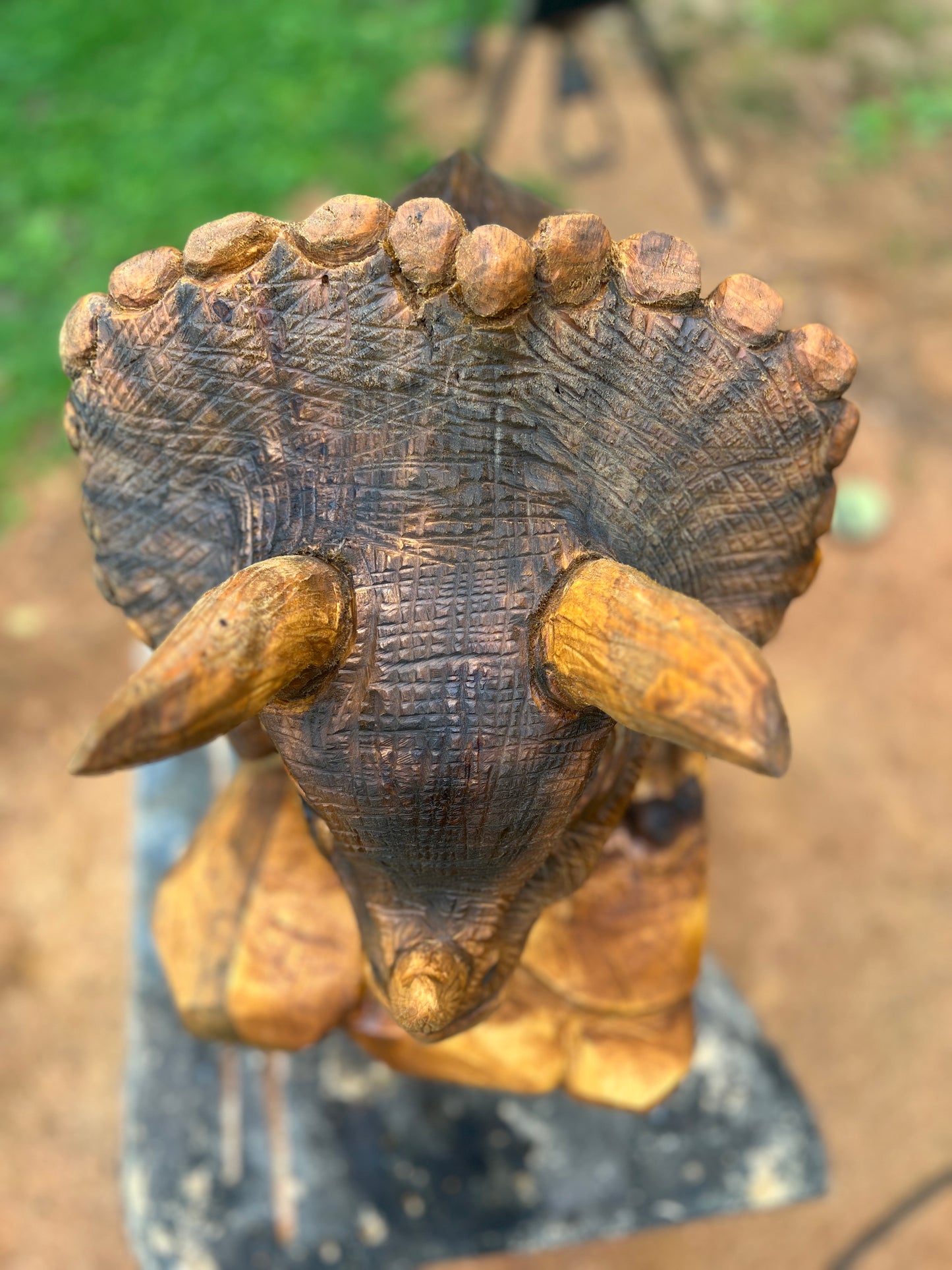 Hand-Carved Full Body Triceratops