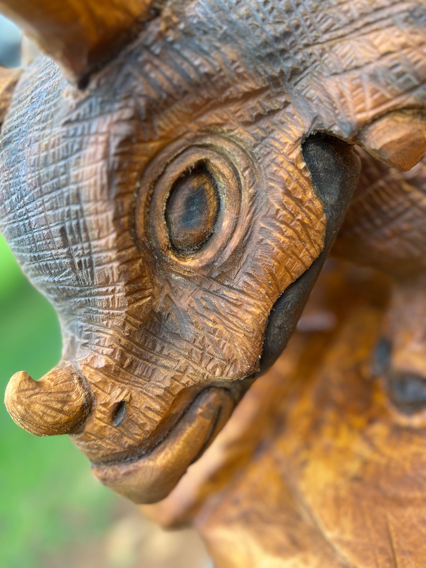 Hand-Carved Full Body Triceratops