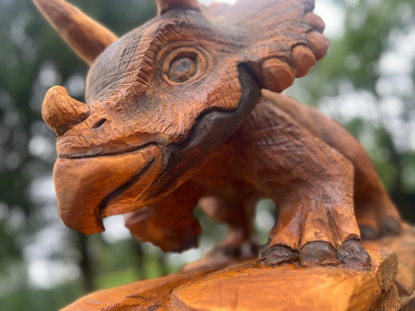 Hand-Carved Full Body Triceratops