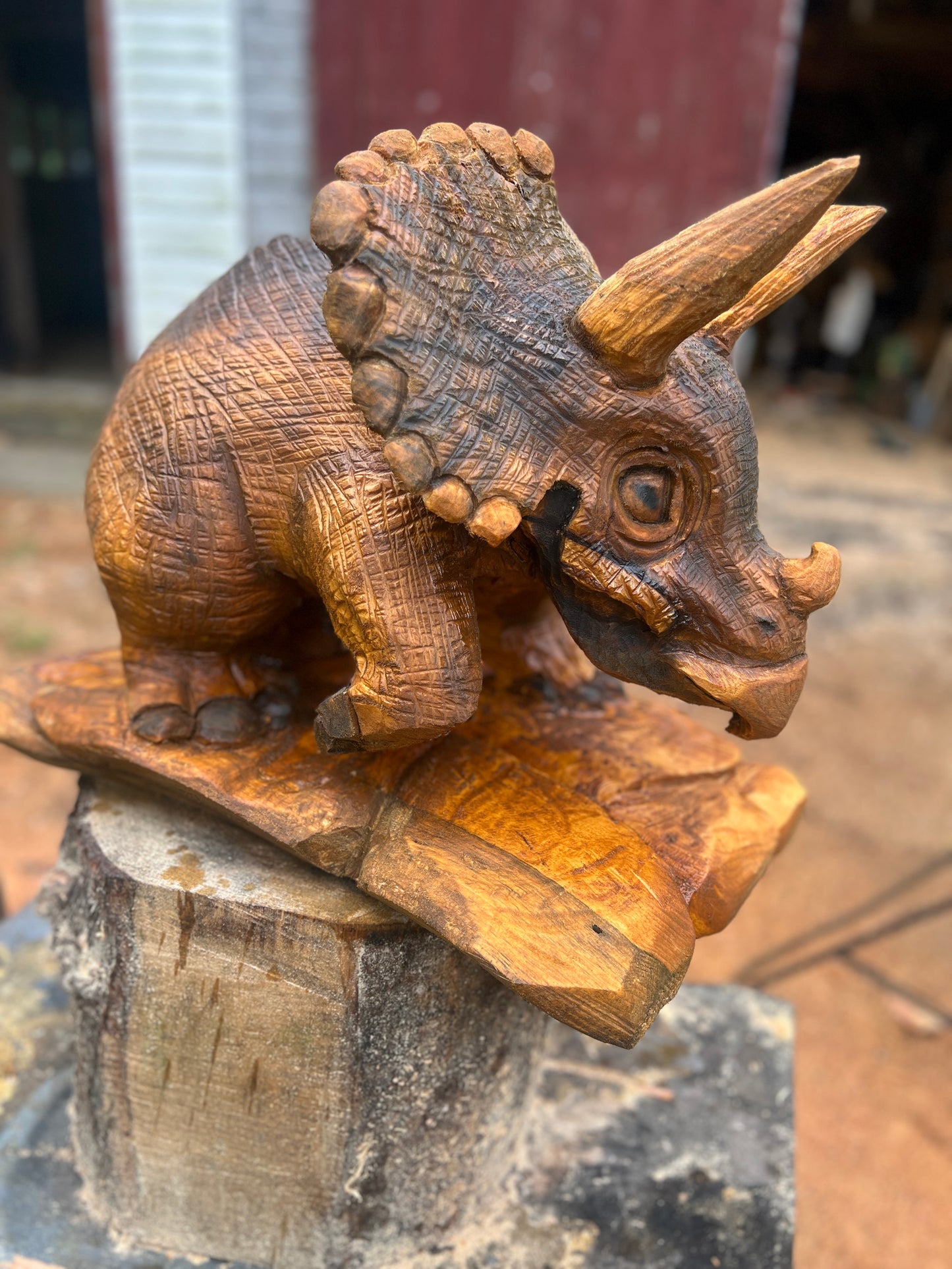 Hand-Carved Full Body Triceratops