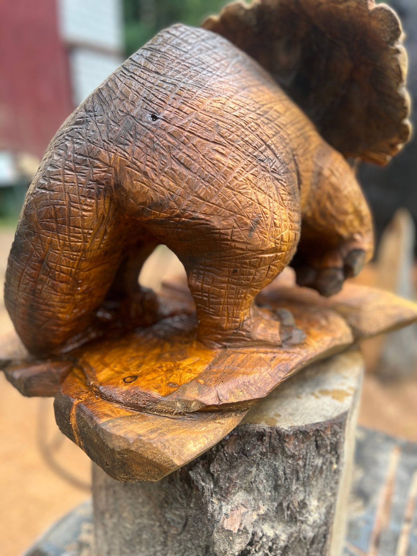 Hand-Carved Full Body Triceratops