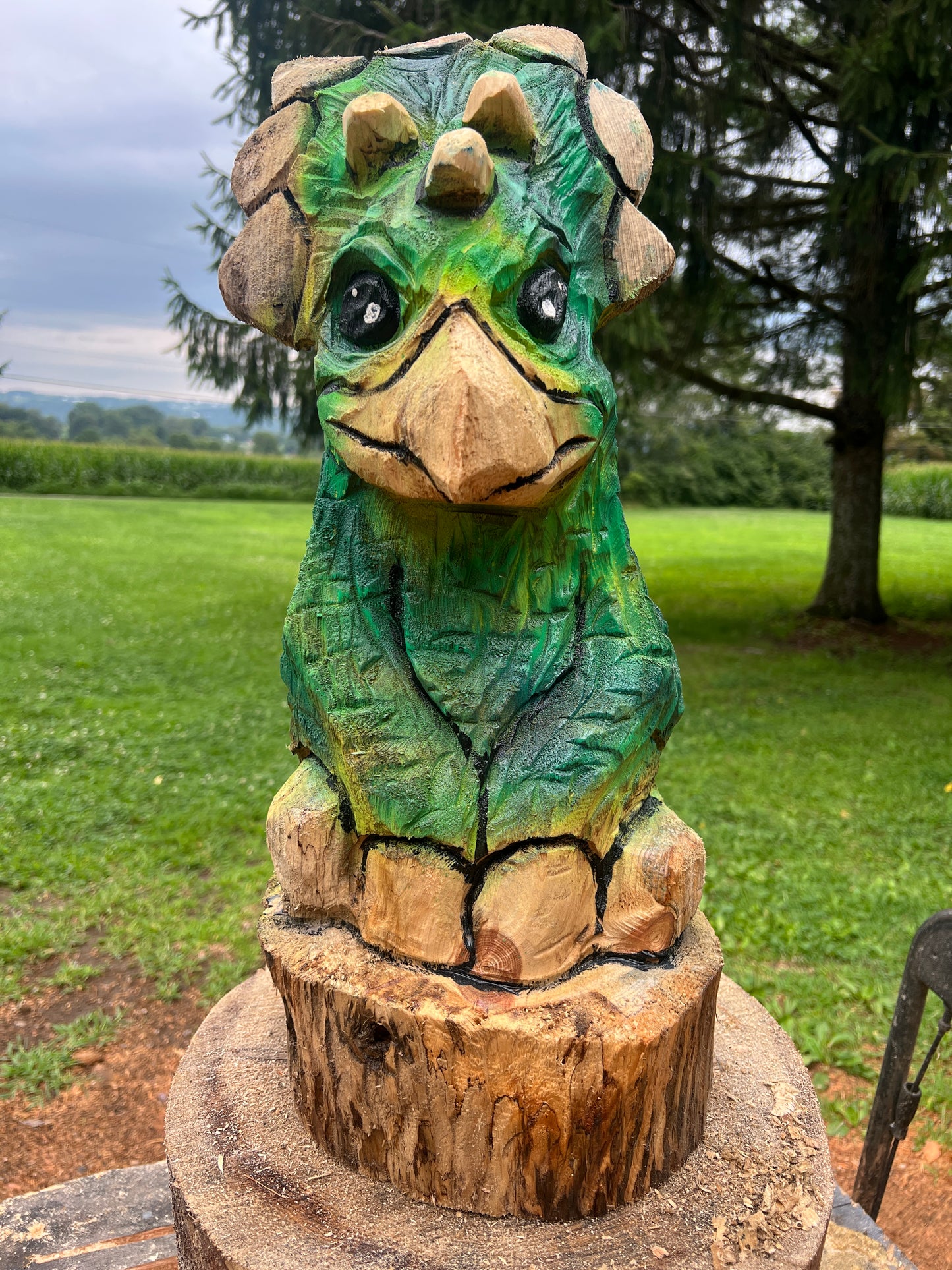 Hand-Carved 1hr Triceratops