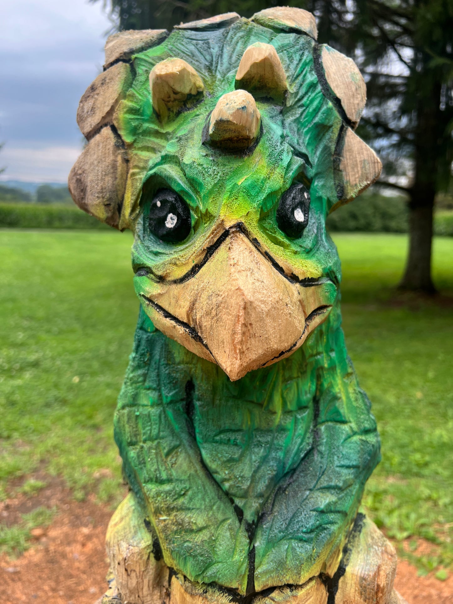 Hand-Carved 1hr Triceratops
