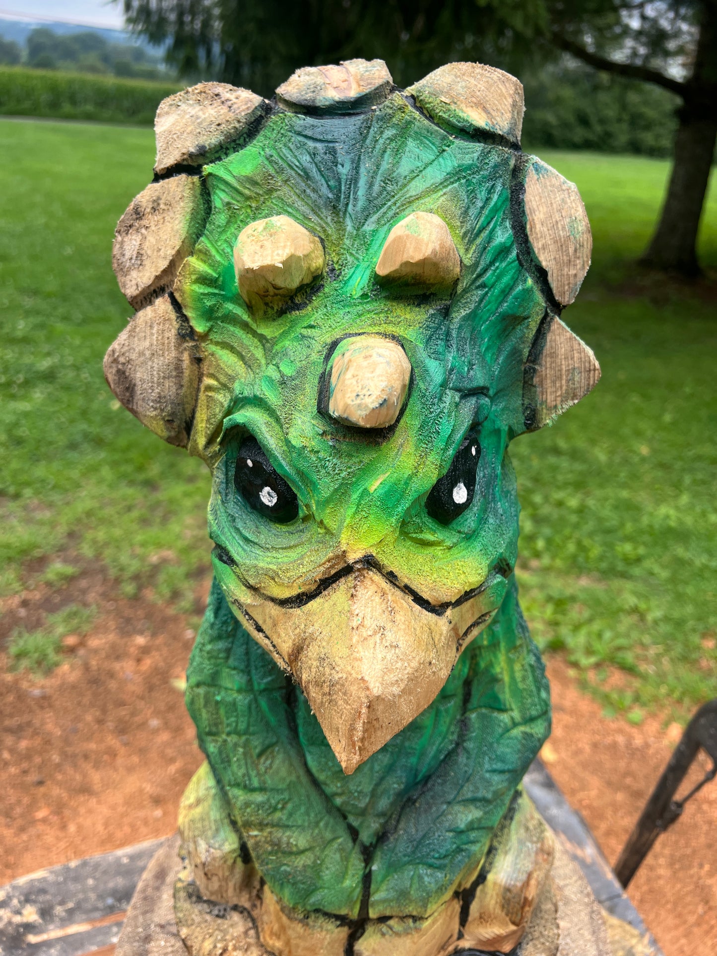 Hand-Carved 1hr Triceratops
