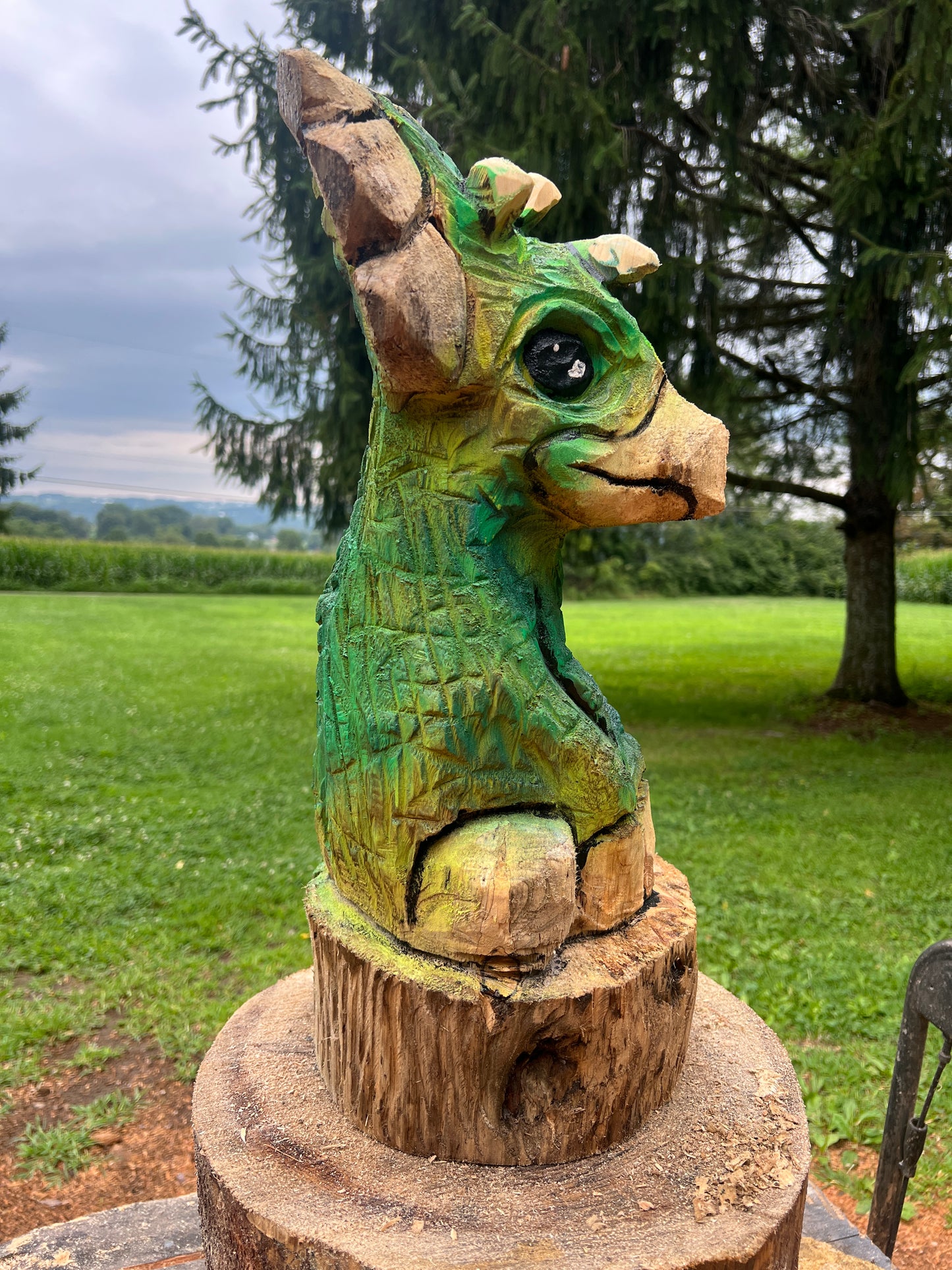 Hand-Carved 1hr Triceratops
