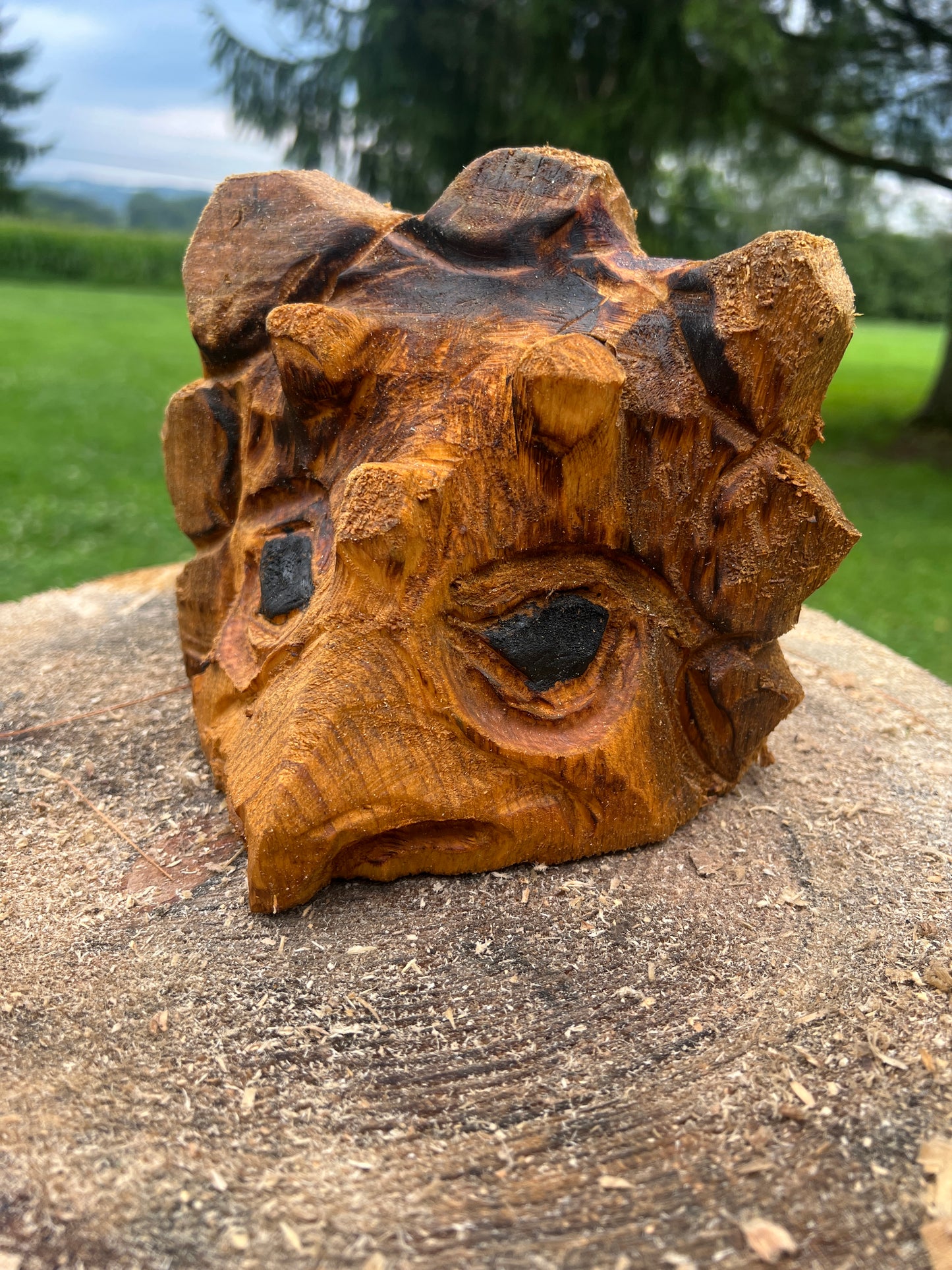 Hand-Carved 10min Triceratops