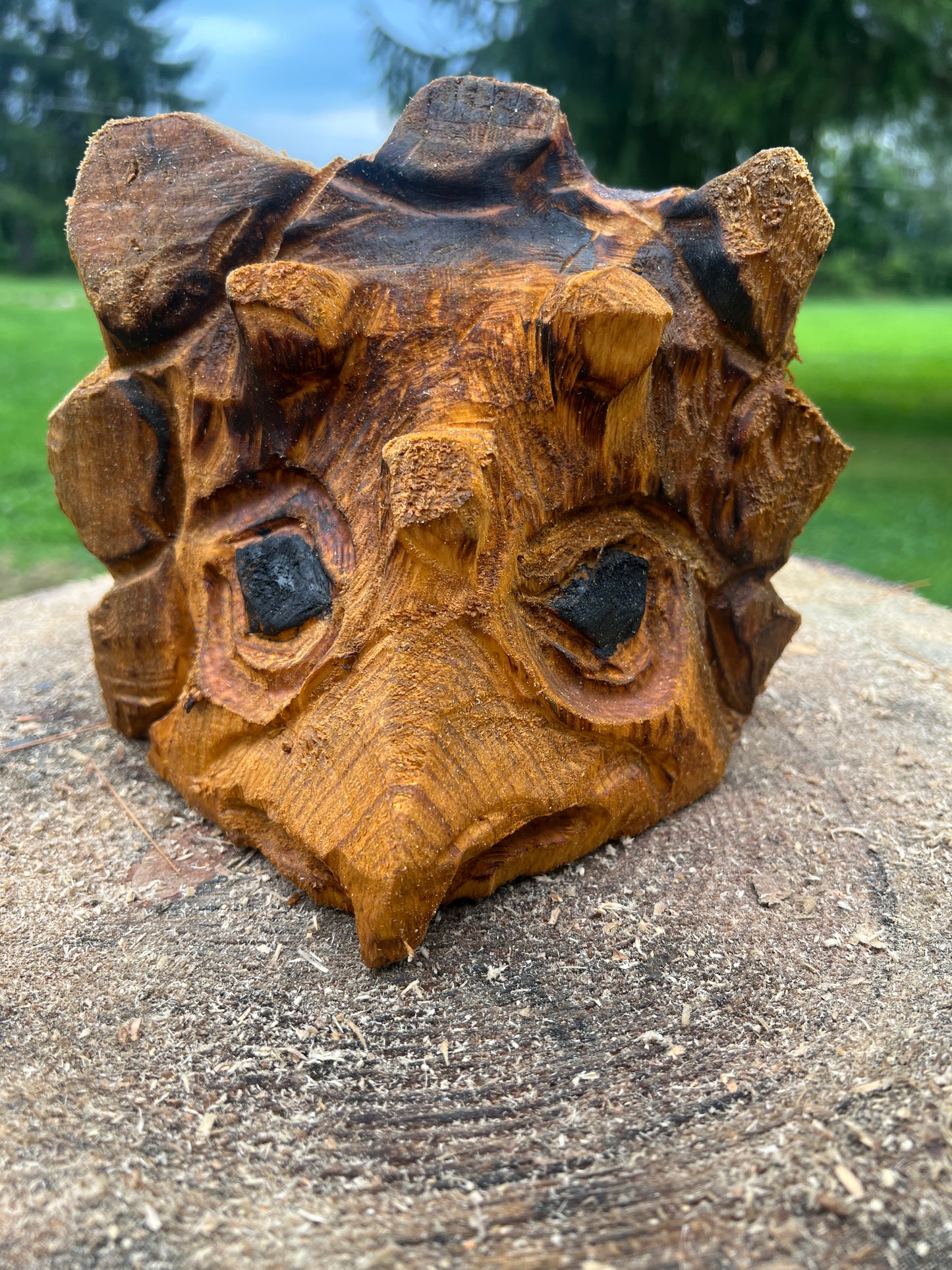 Hand-Carved 10min Triceratops
