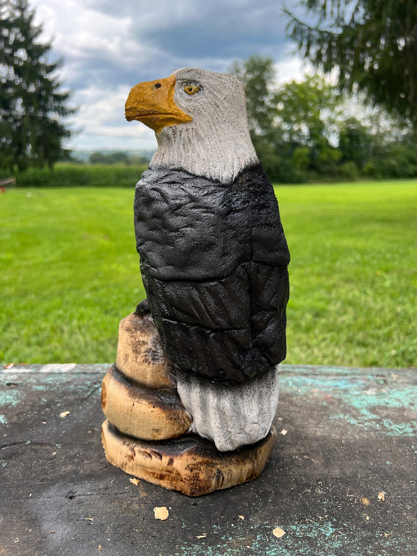 Small Eagle