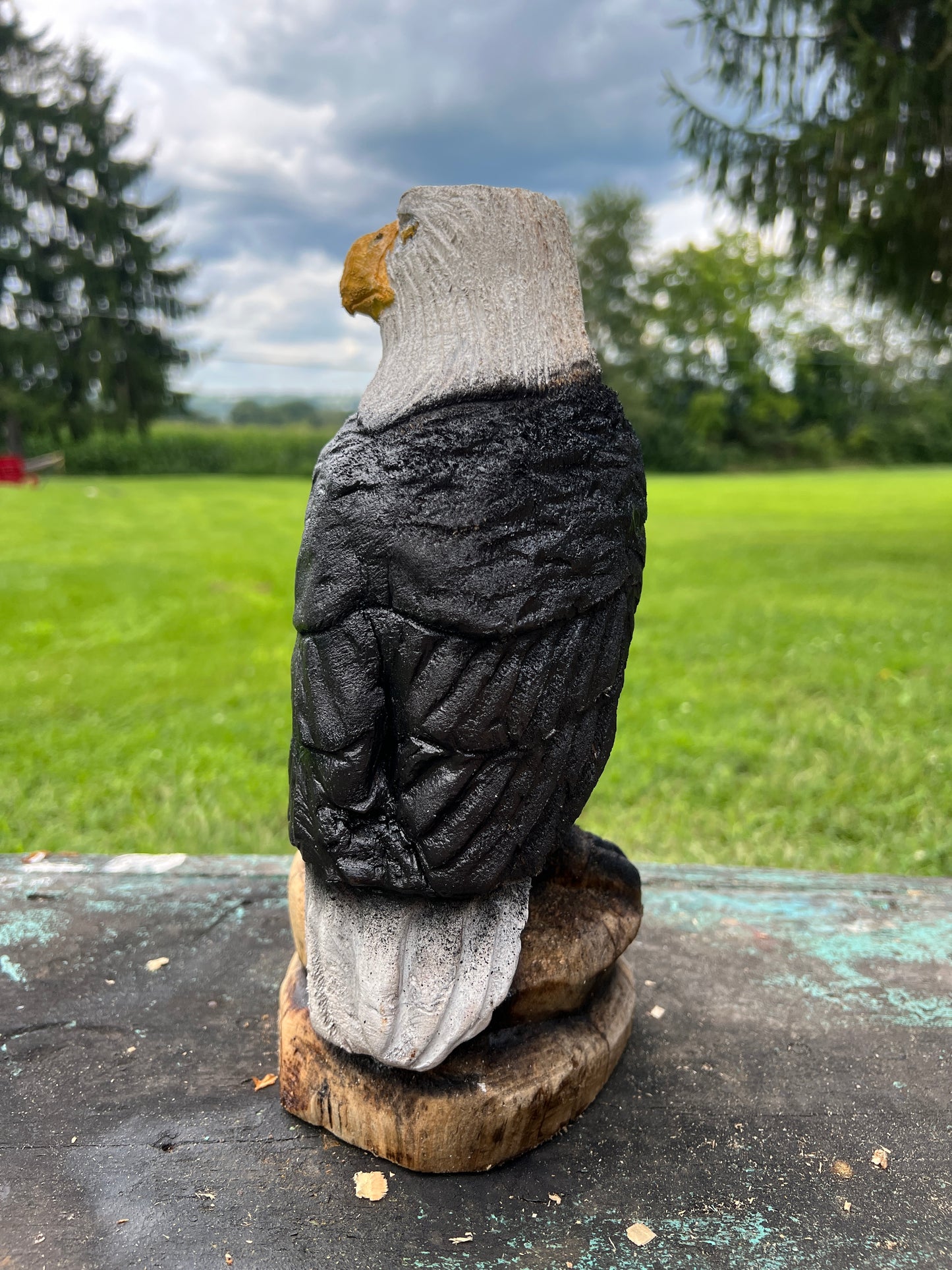 Small Eagle