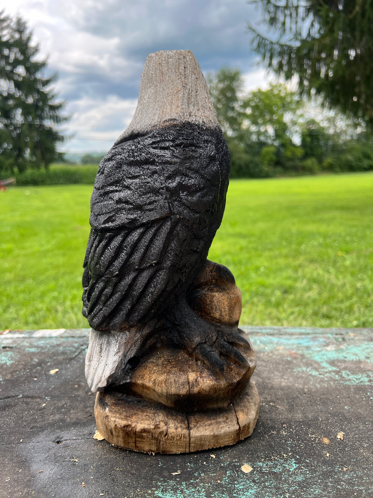 Small Eagle