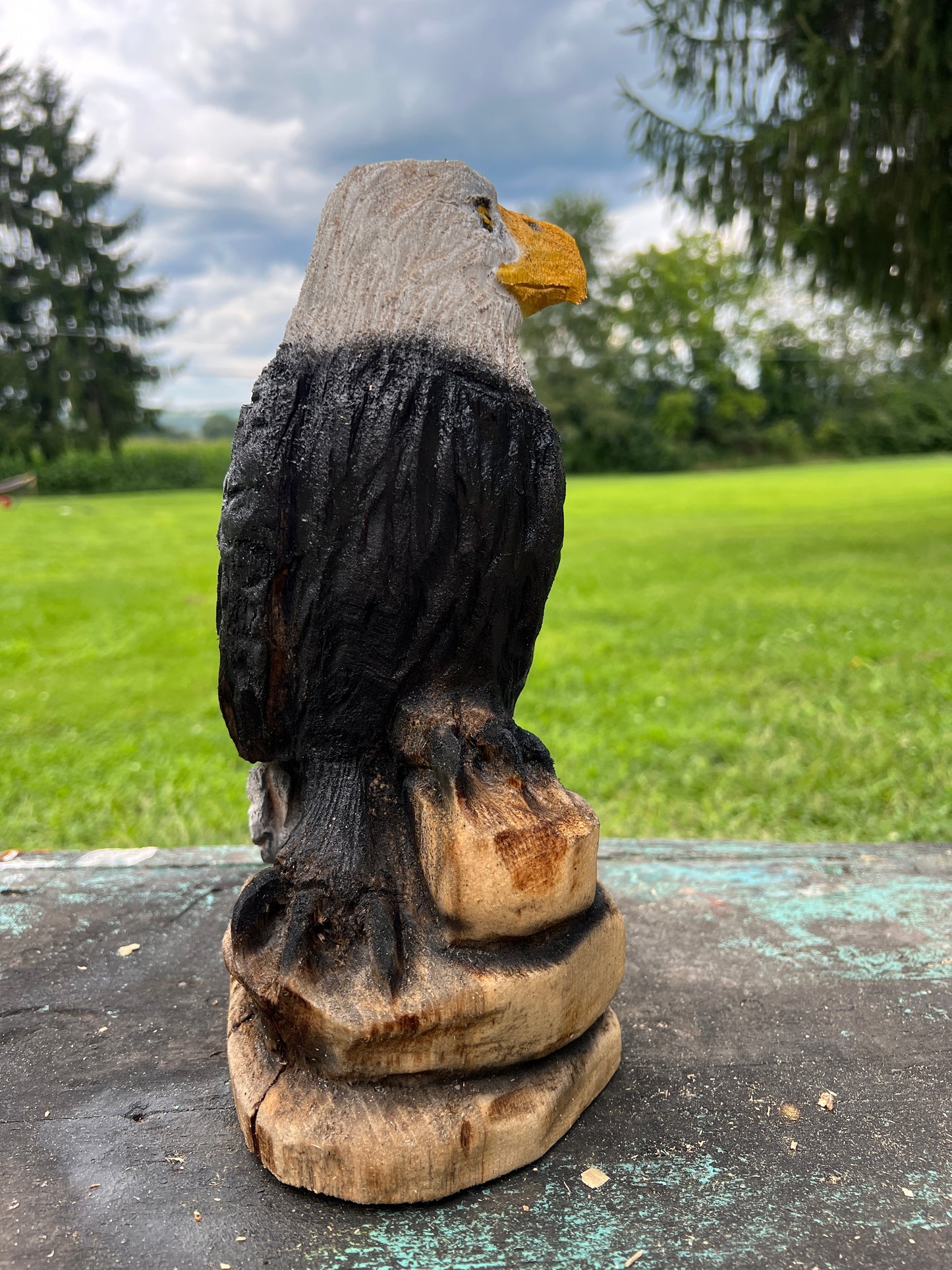 Small Eagle