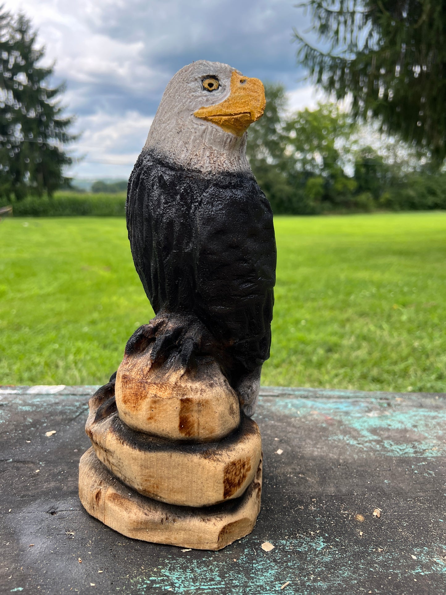 Small Eagle