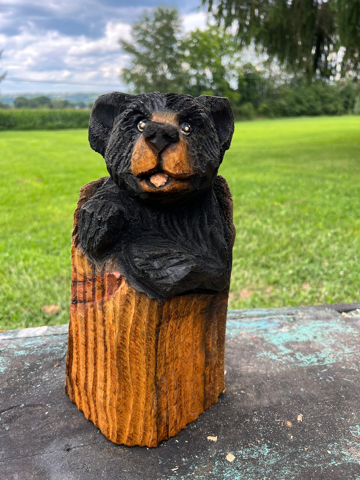 Small Bear in Log