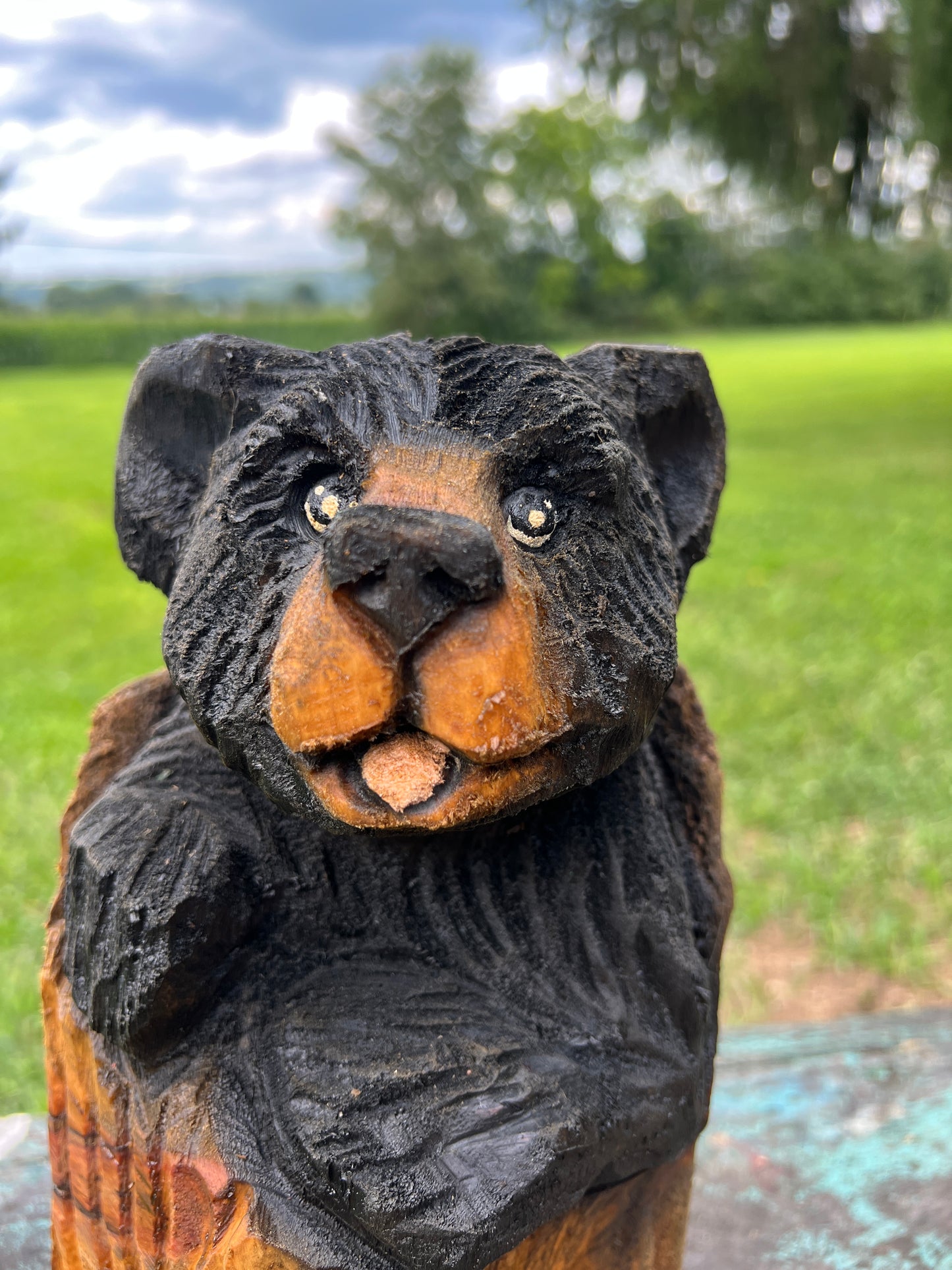 Small Bear in Log
