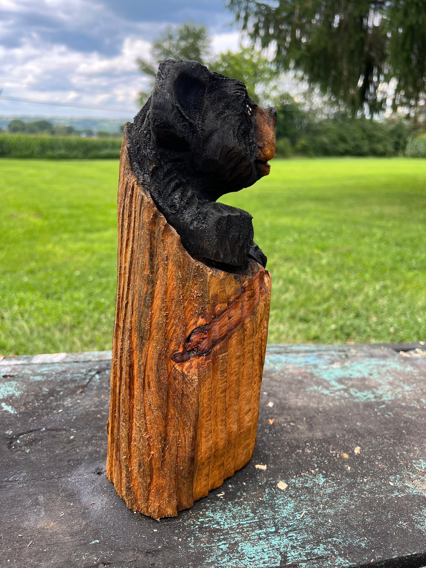 Small Bear in Log