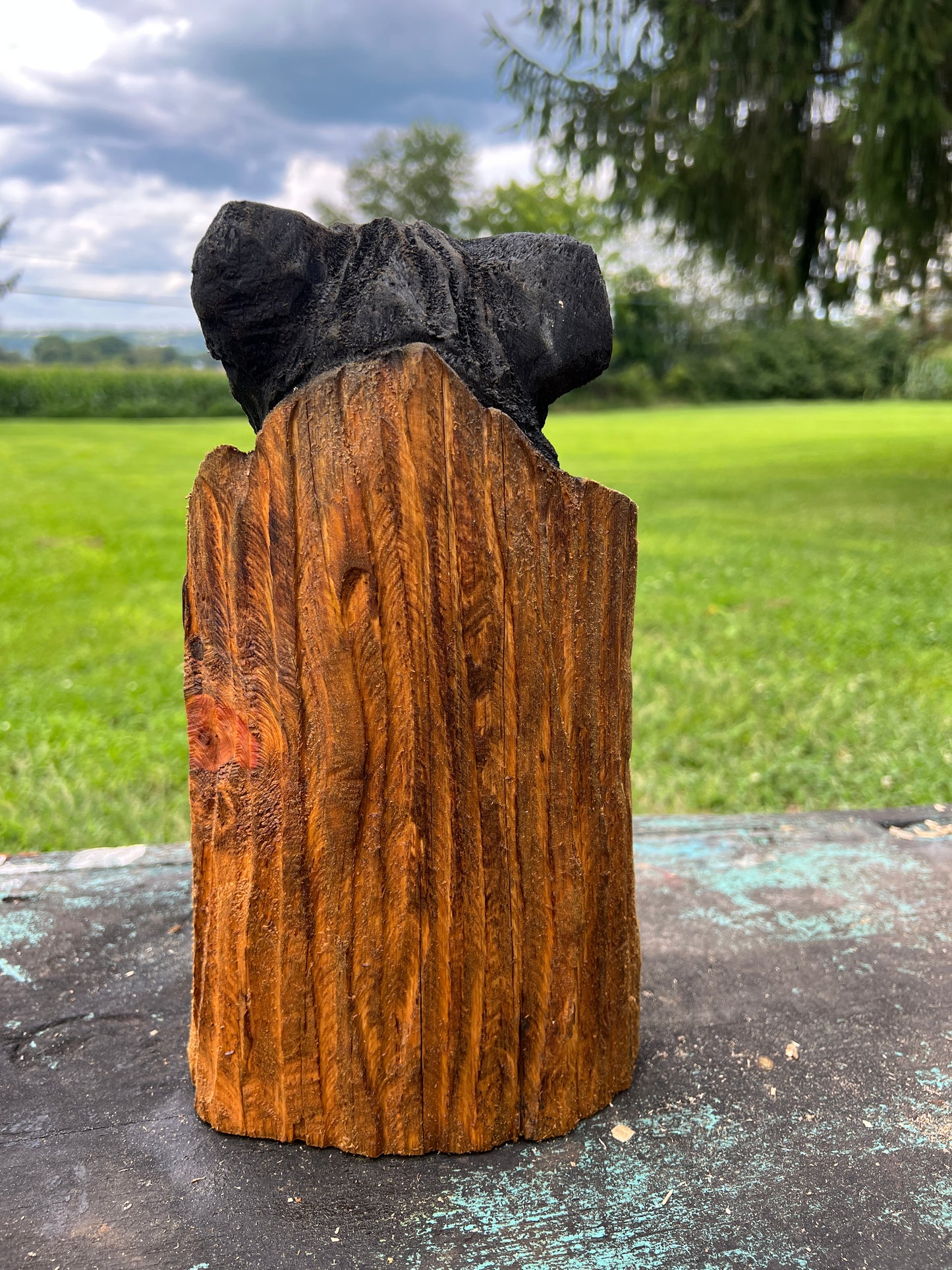 Small Bear in Log