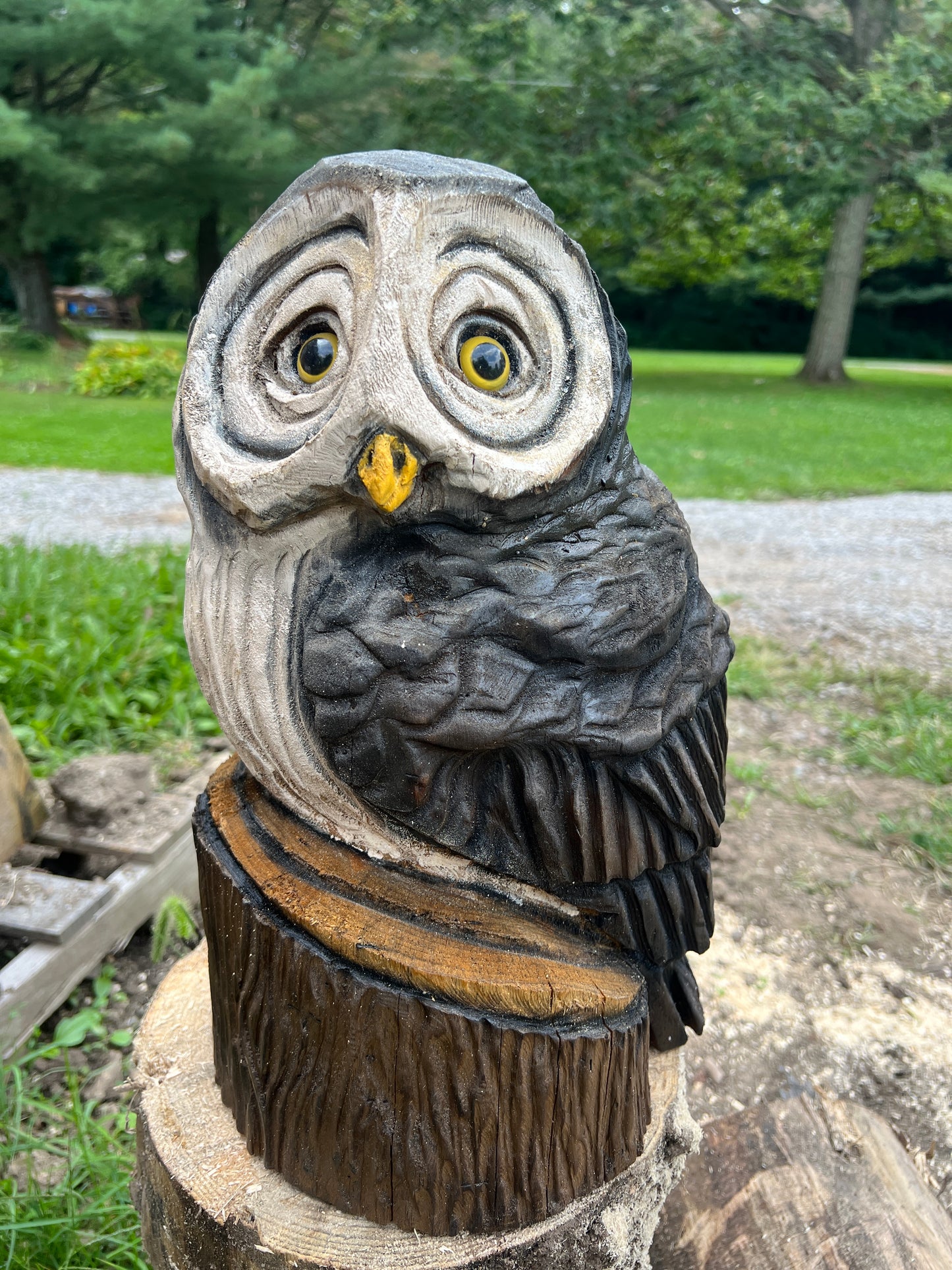 Owl